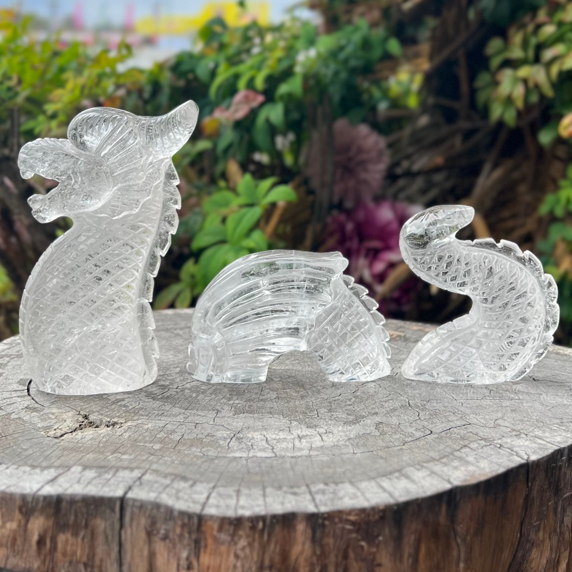 Clear Quartz Sea Dragon Carving ~ 3 Piece Set