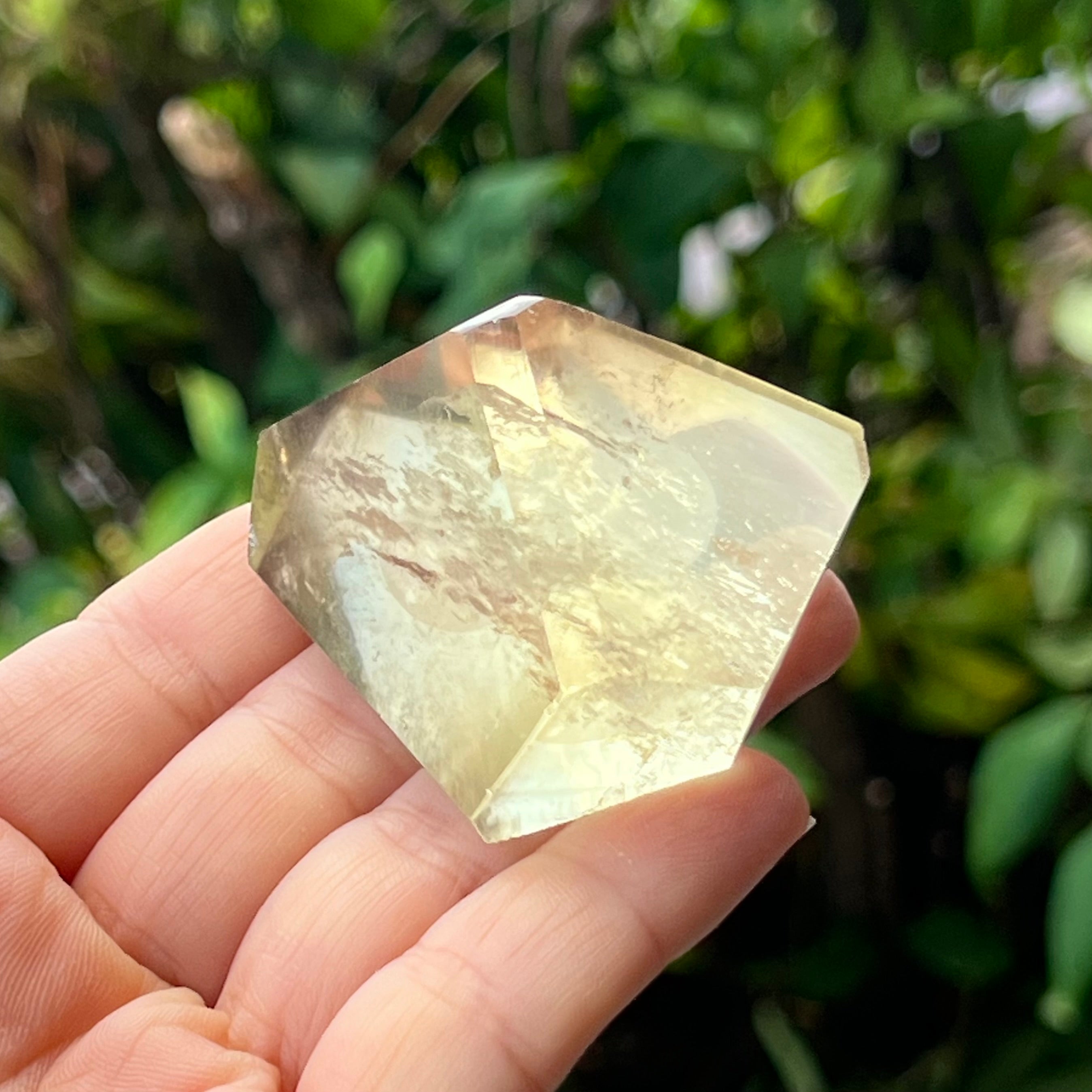 Natural Citrine ~ Specialty Crystal