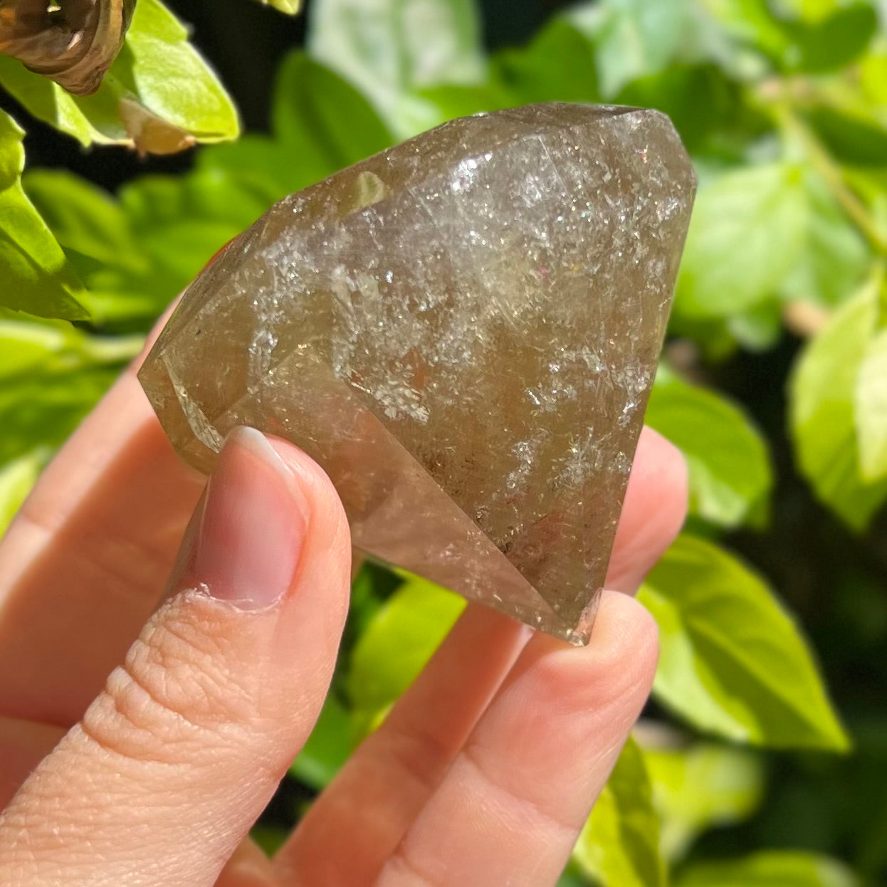 Citrine Diamond Cut ~ Specialty Crystal