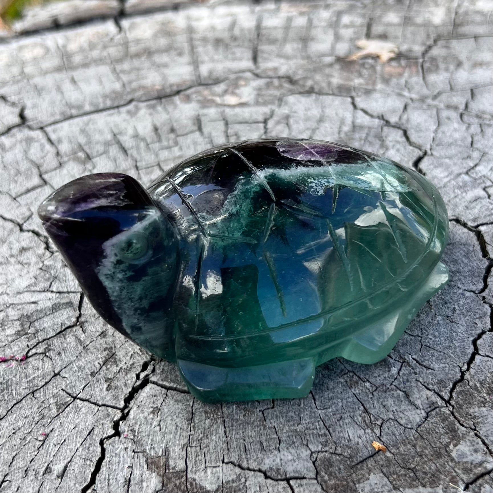 Green Fluorite Turtle Carving