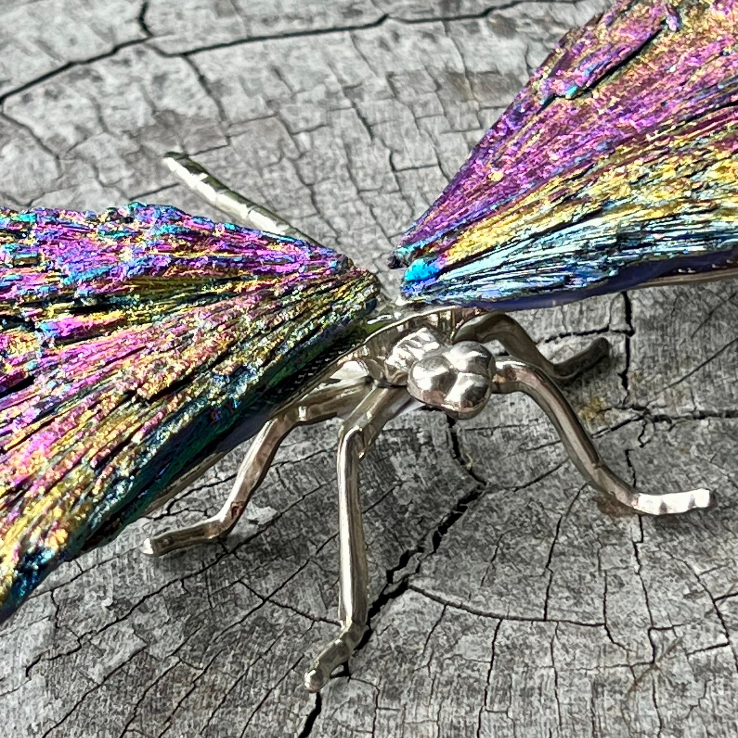 Dragonfly ~ Kyanite Electroplate ~ Rainbow ~ Large