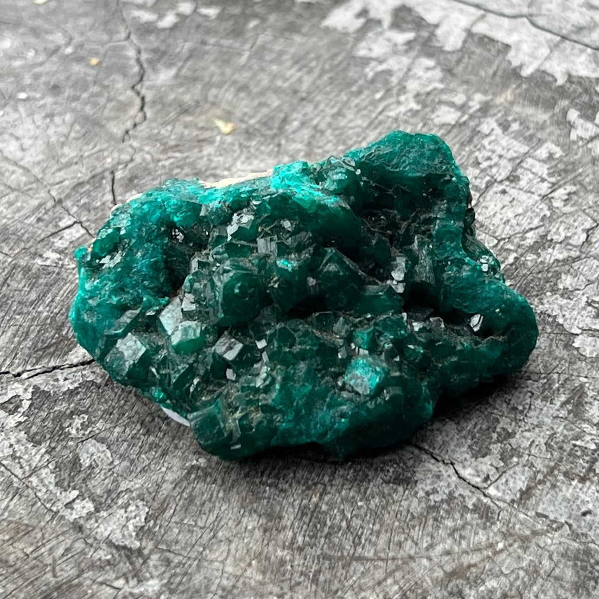 Natural Dioptase Specialty Crystal
