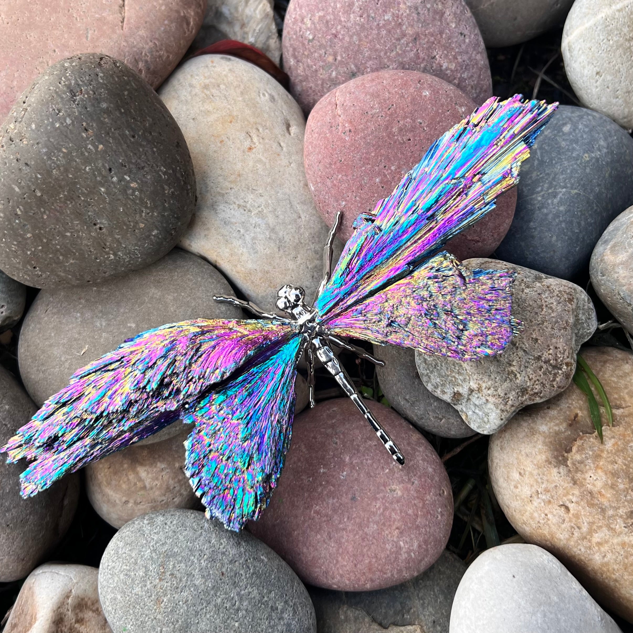 Dragon Fly ~ Rainbow Kyanite Electroplate