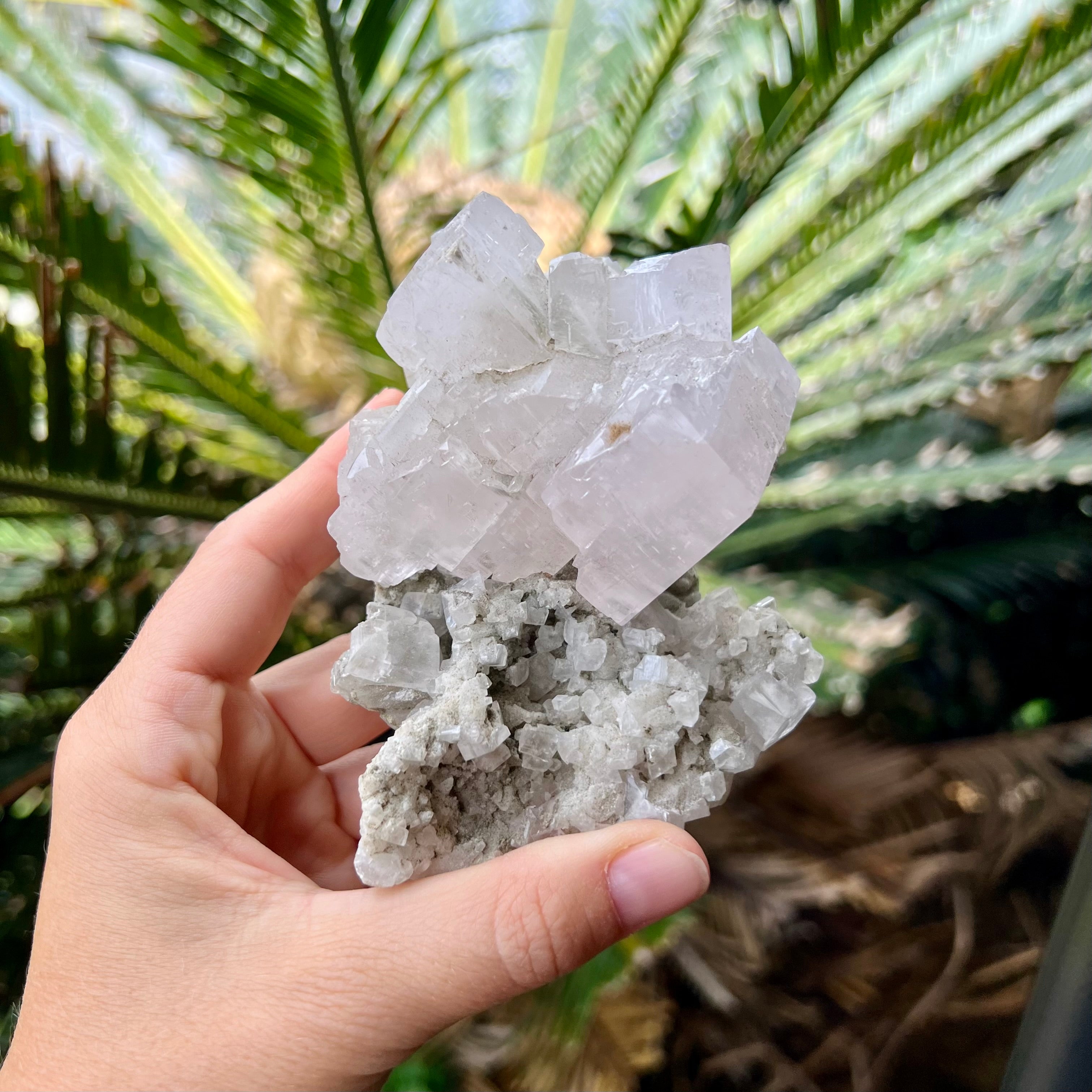 Apophyllite Cluster