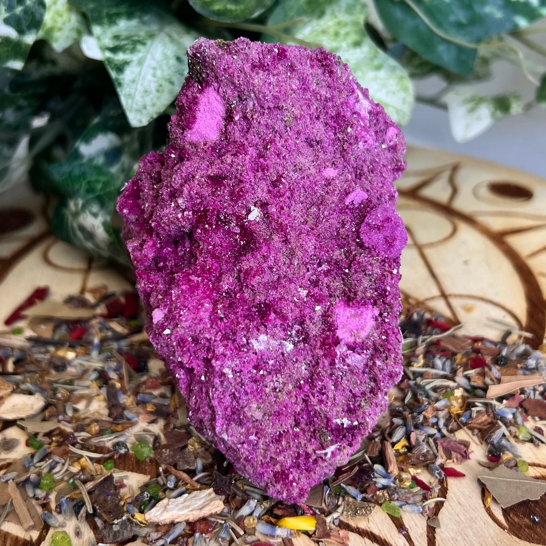 Ruby with Pyrite Specimen