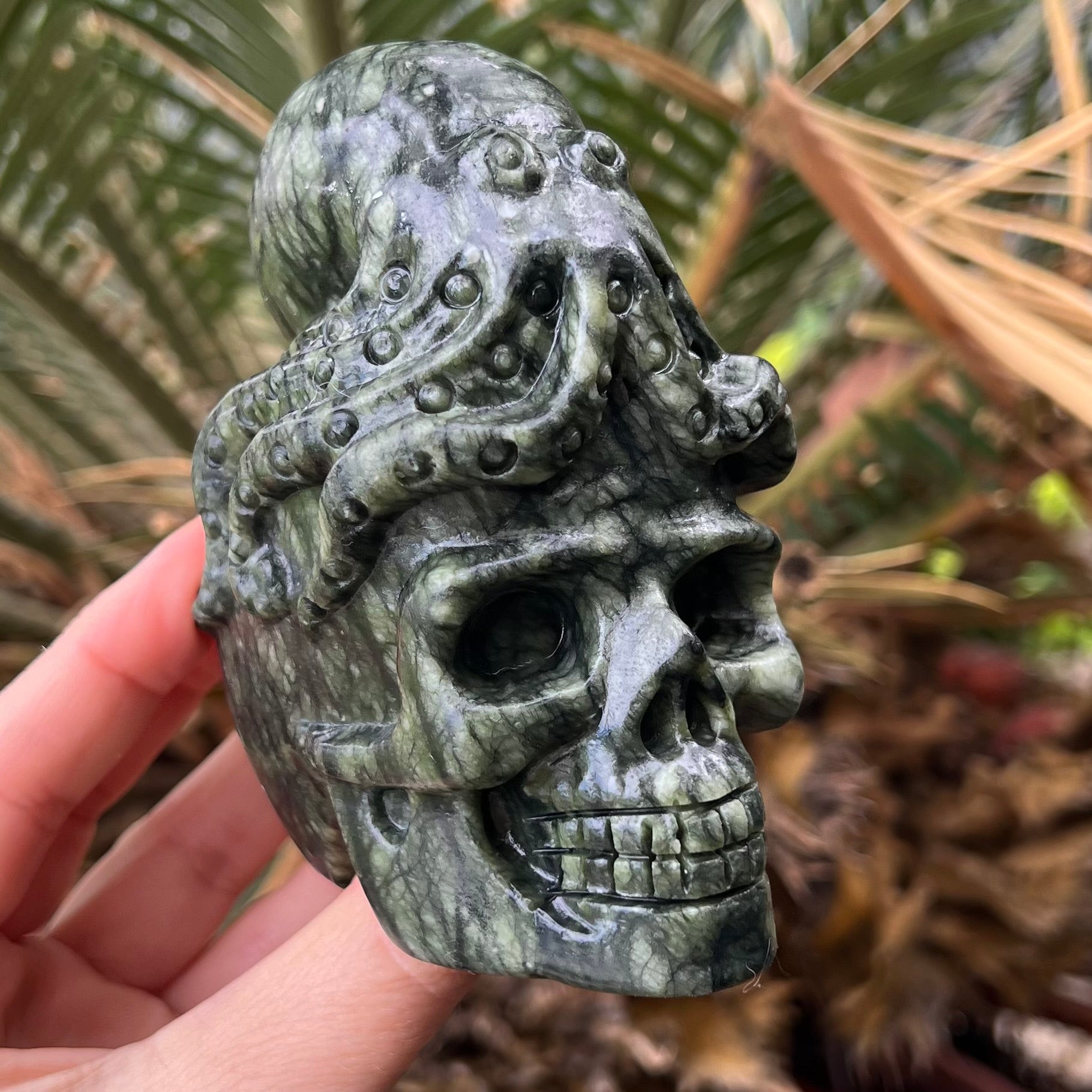 Kambaba Jasper Octopus Skull Carving