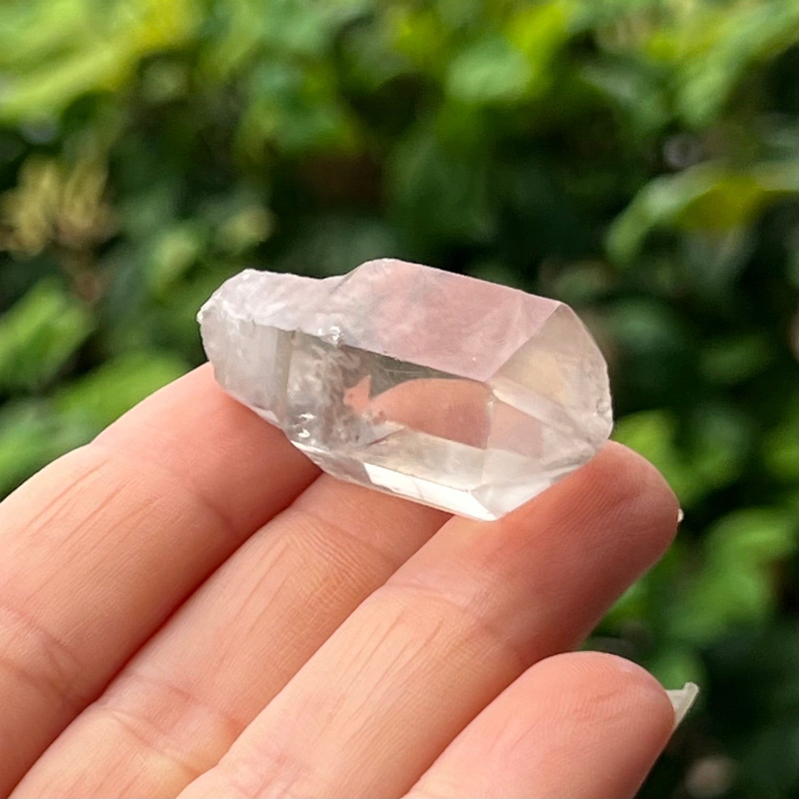Sceptre Quartz~ Specialty Boxed Crystal