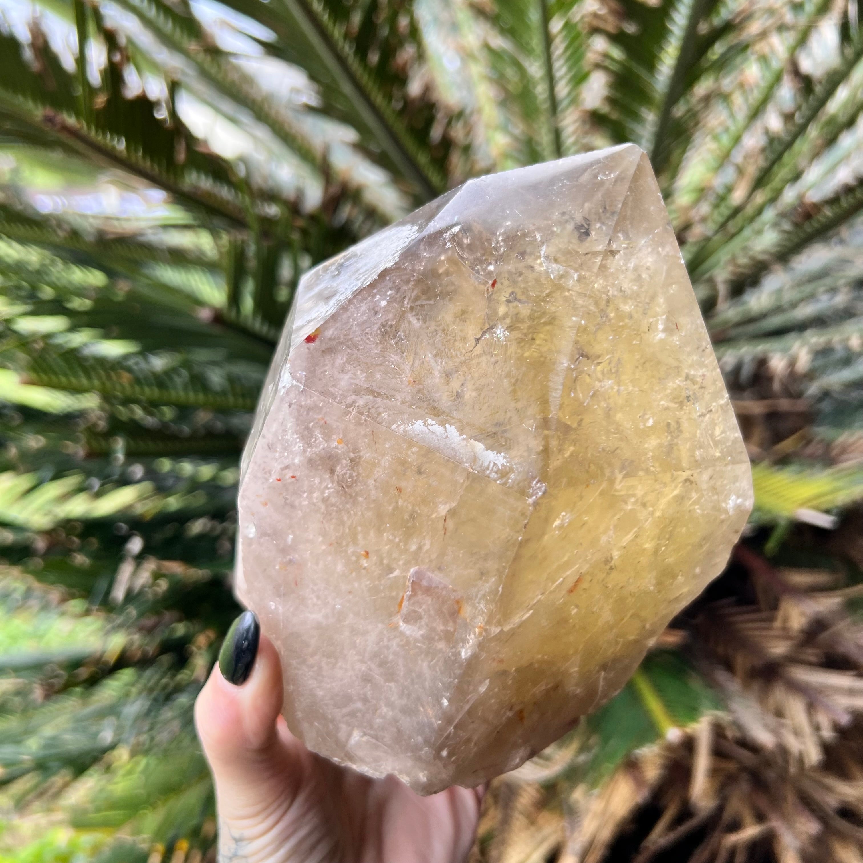 Citrine Semi Raw Point