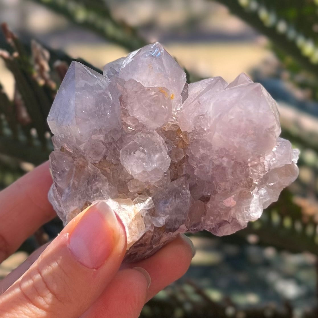Natural Apophyllite Cluster