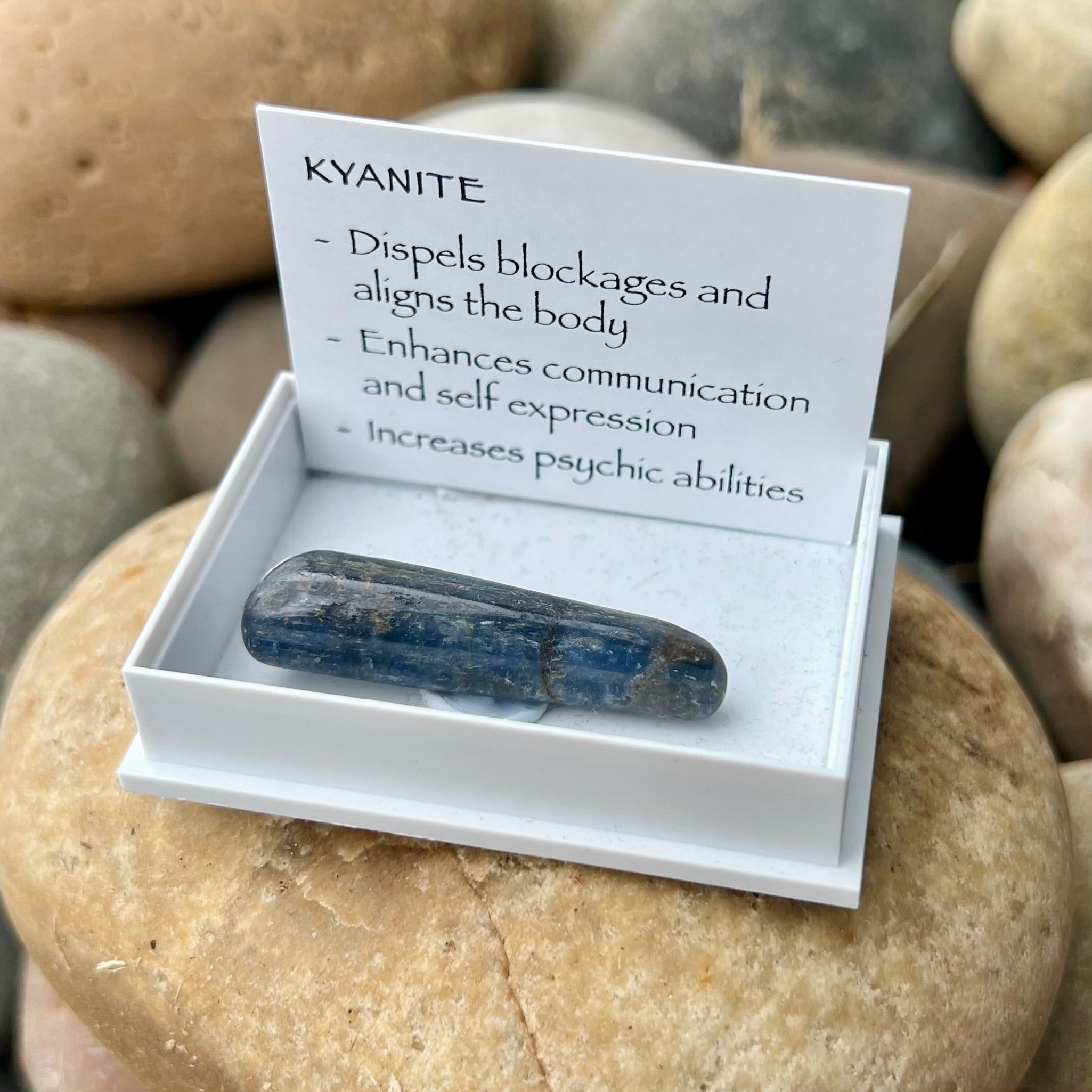 Kyanite Specimen ~ Specialty Boxed Crystal