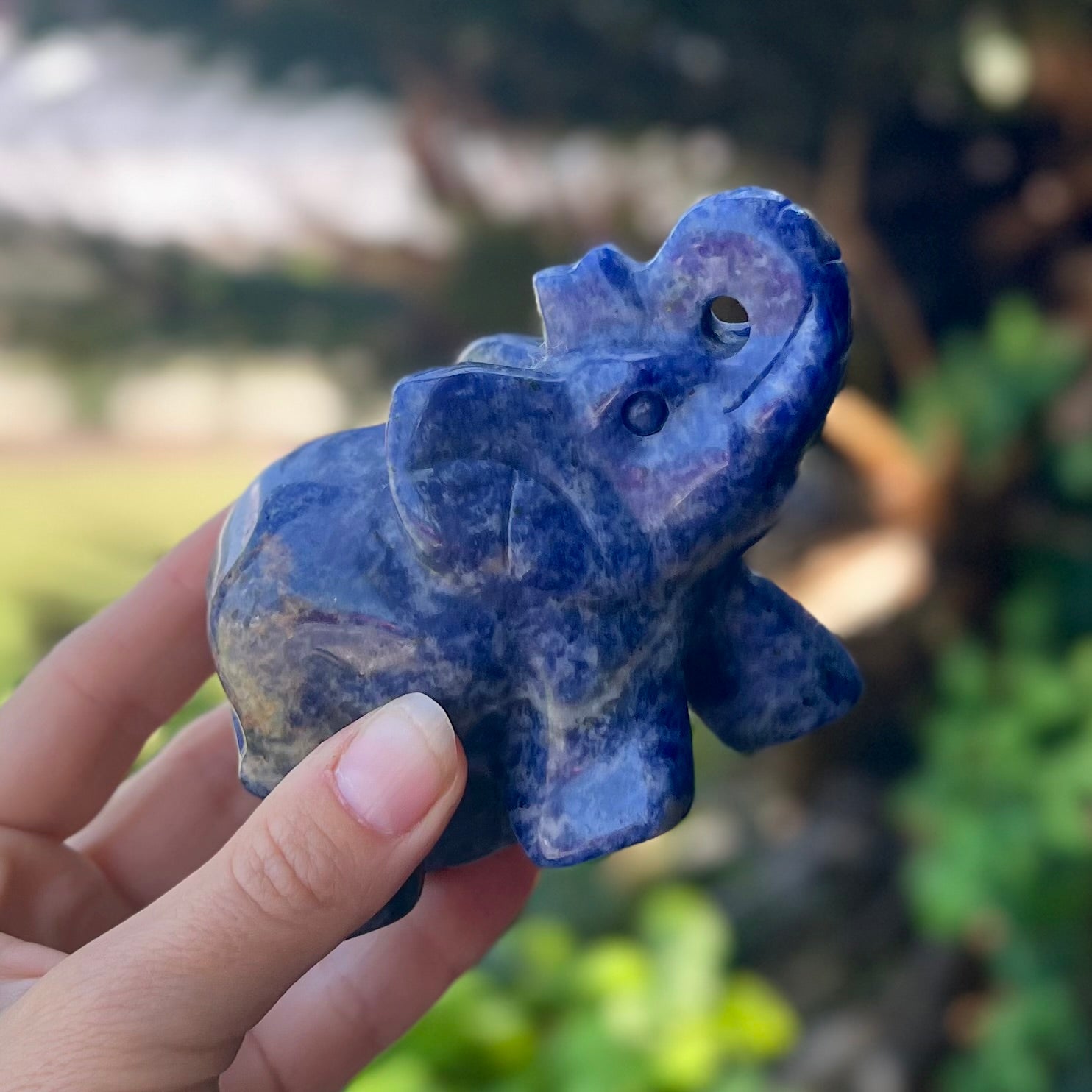 Sodalite ~ Elephant Carving