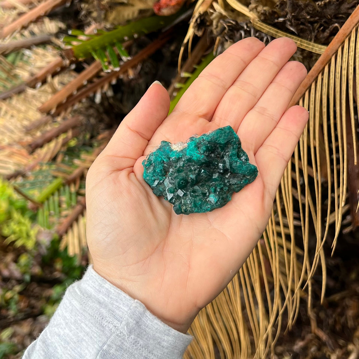 Natural Dioptase Specialty Crystal