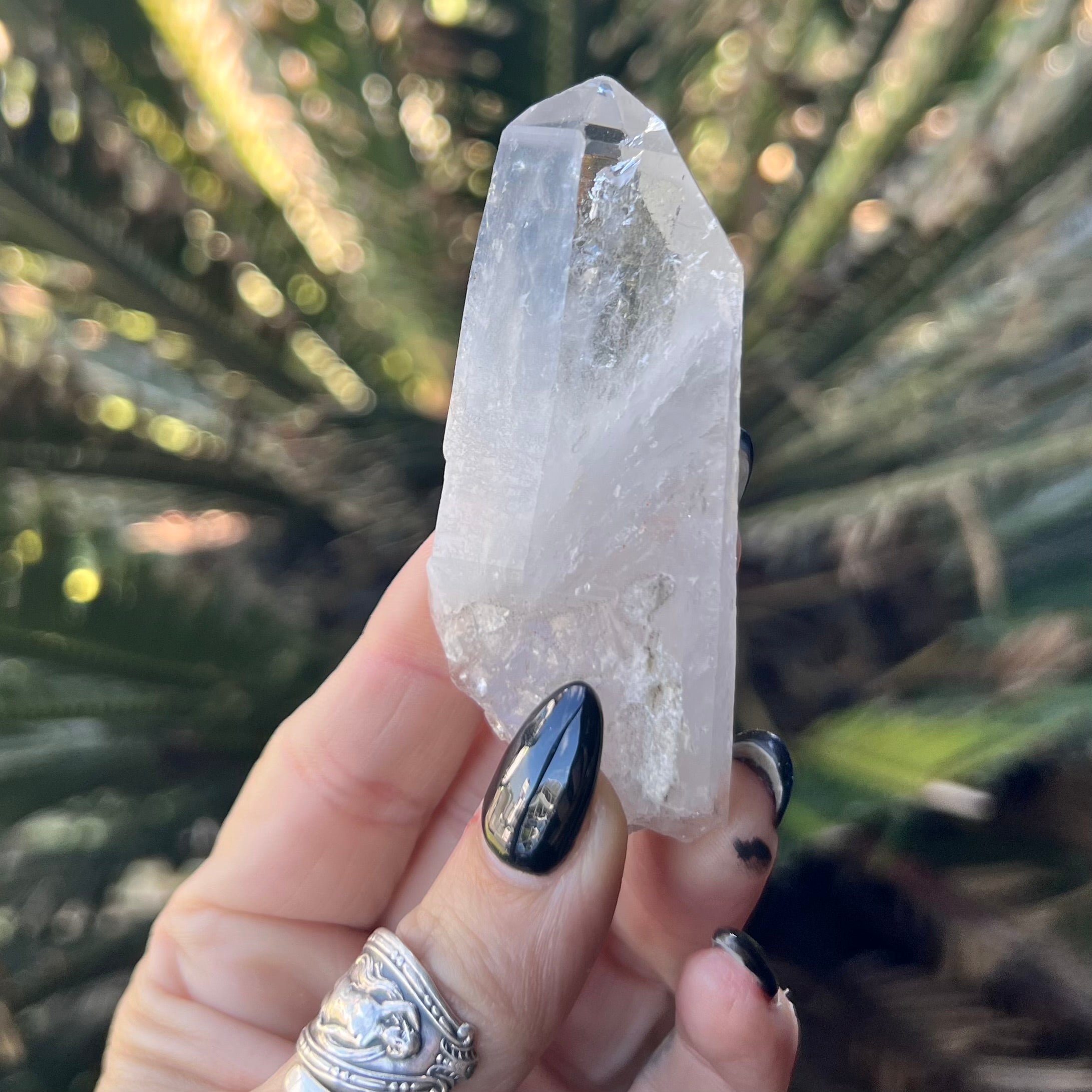 Raw Lumerian Seed Specimen~ Specialty Boxed Crystal