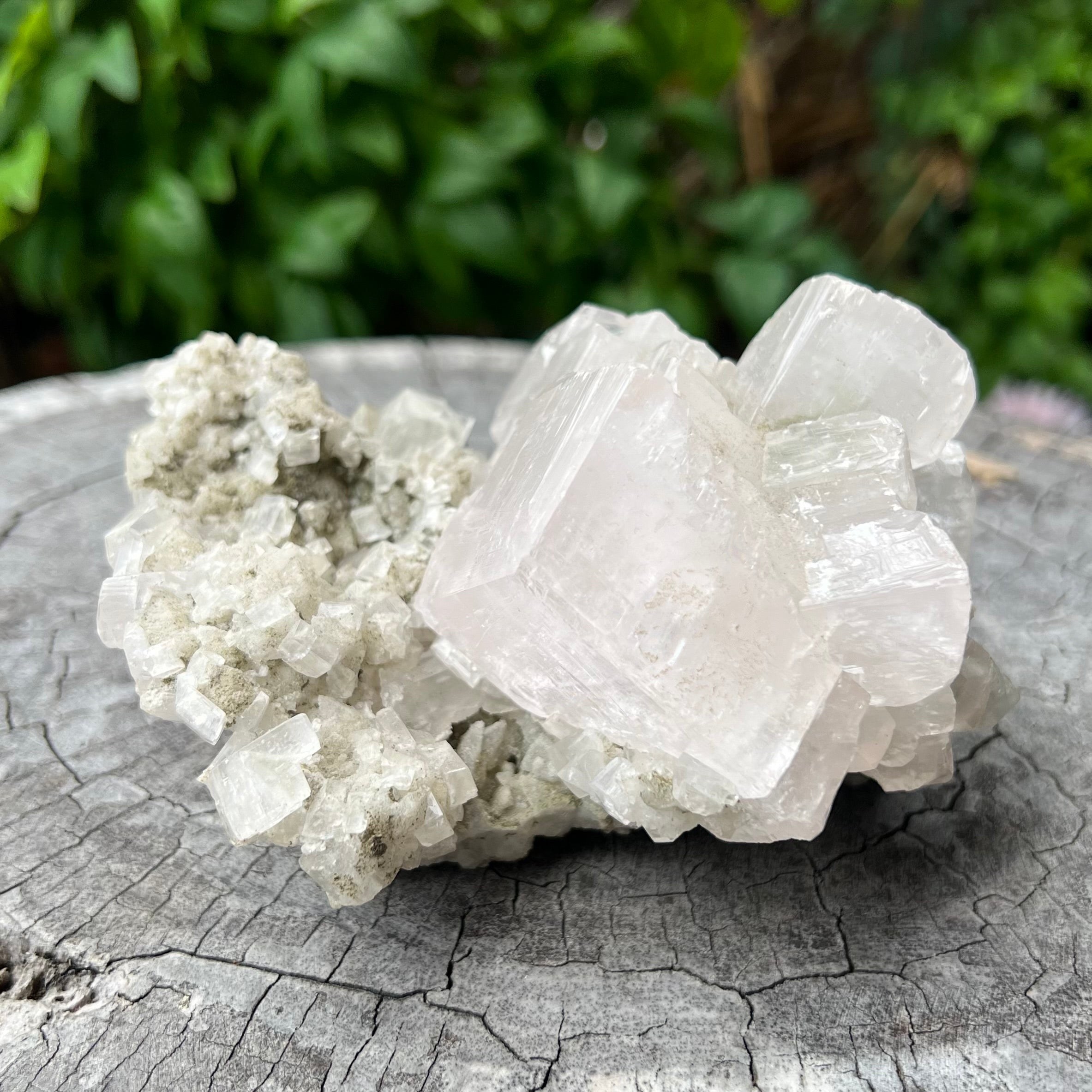 Apophyllite Cluster