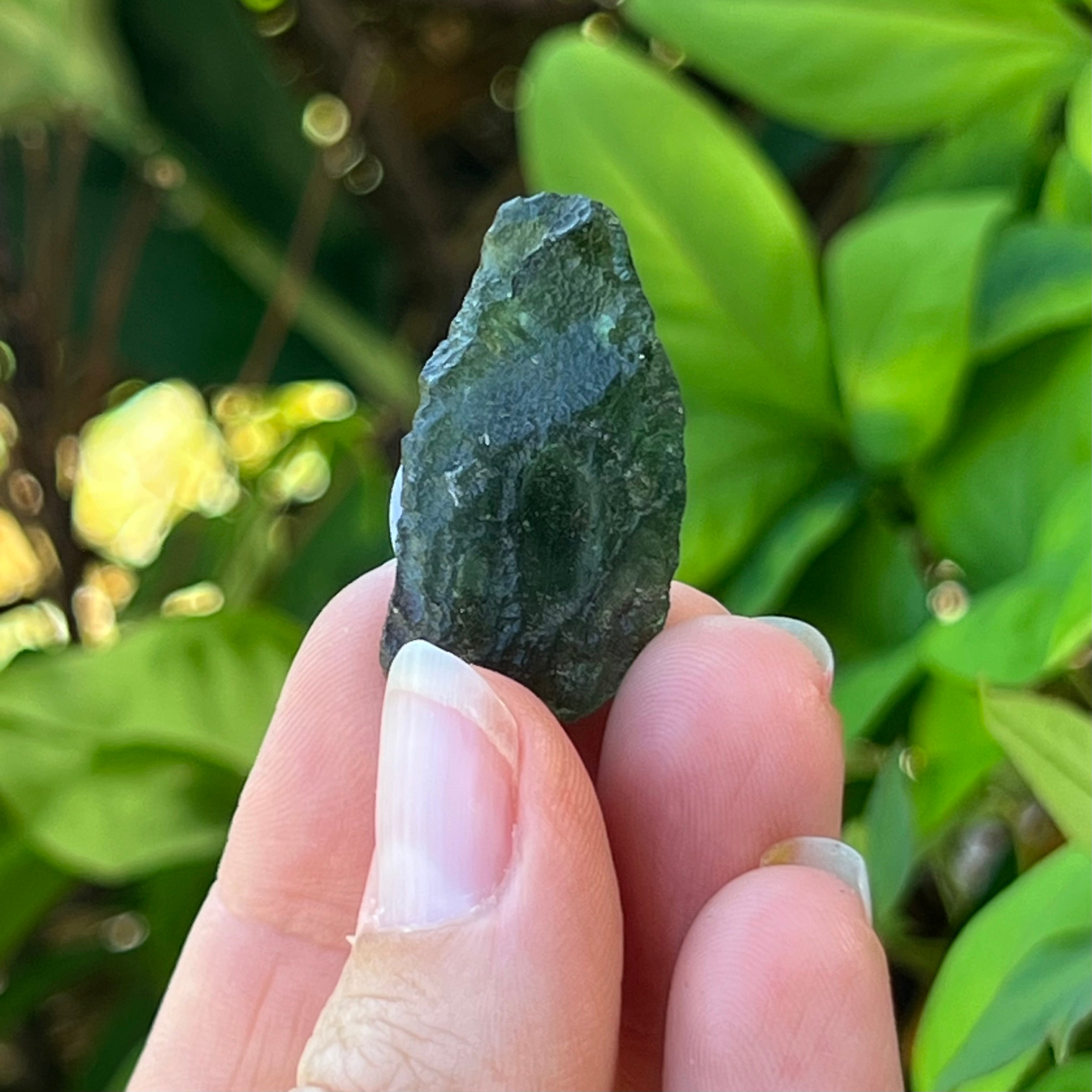 Raw Moldavite Specimen ~ RARE