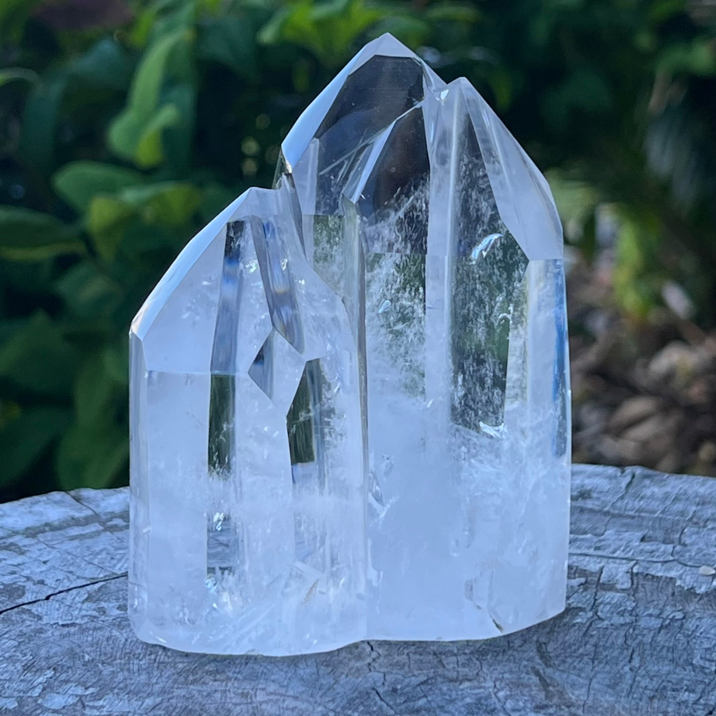 Clear Quartz Family Cluster