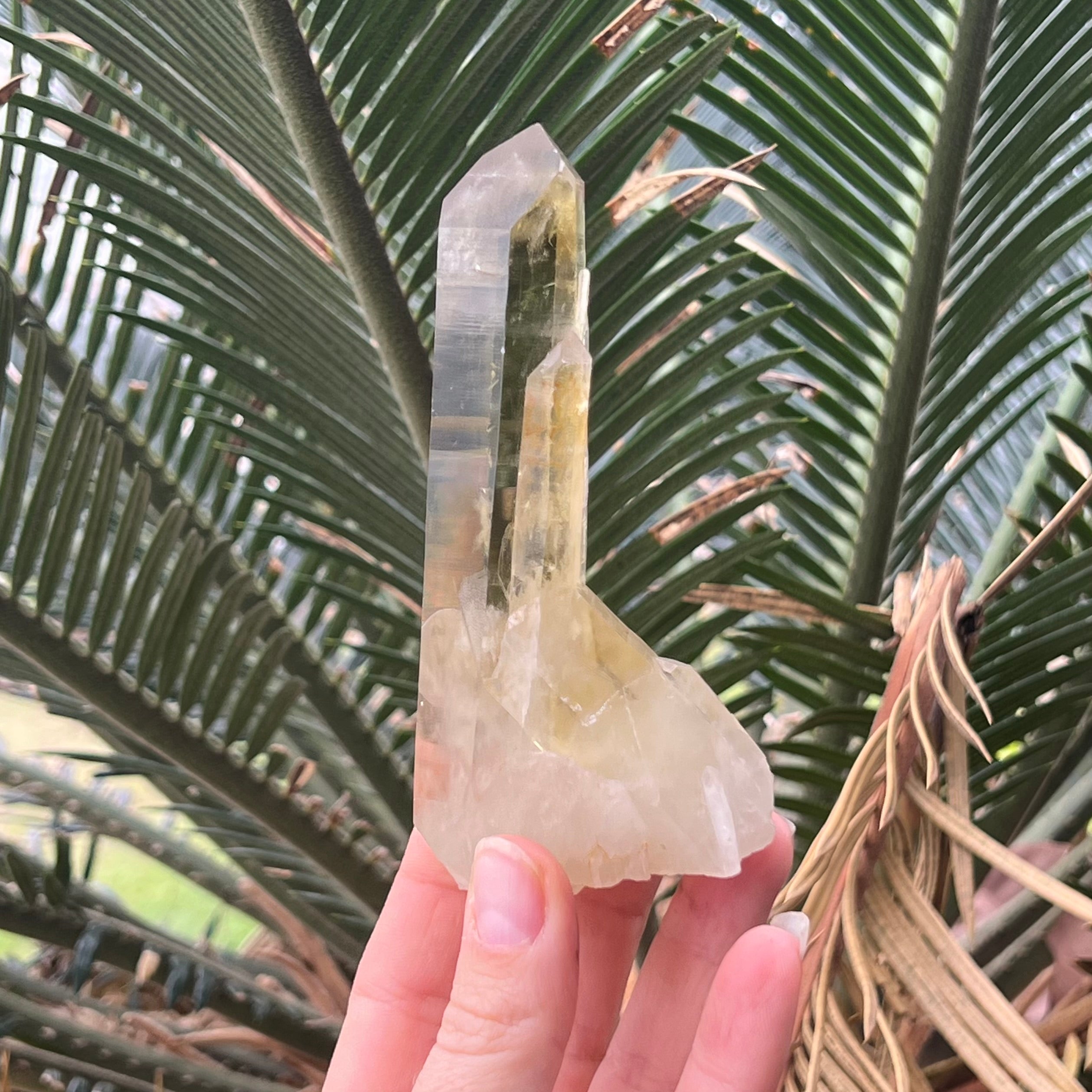 Citrine ~ Natural Cluster