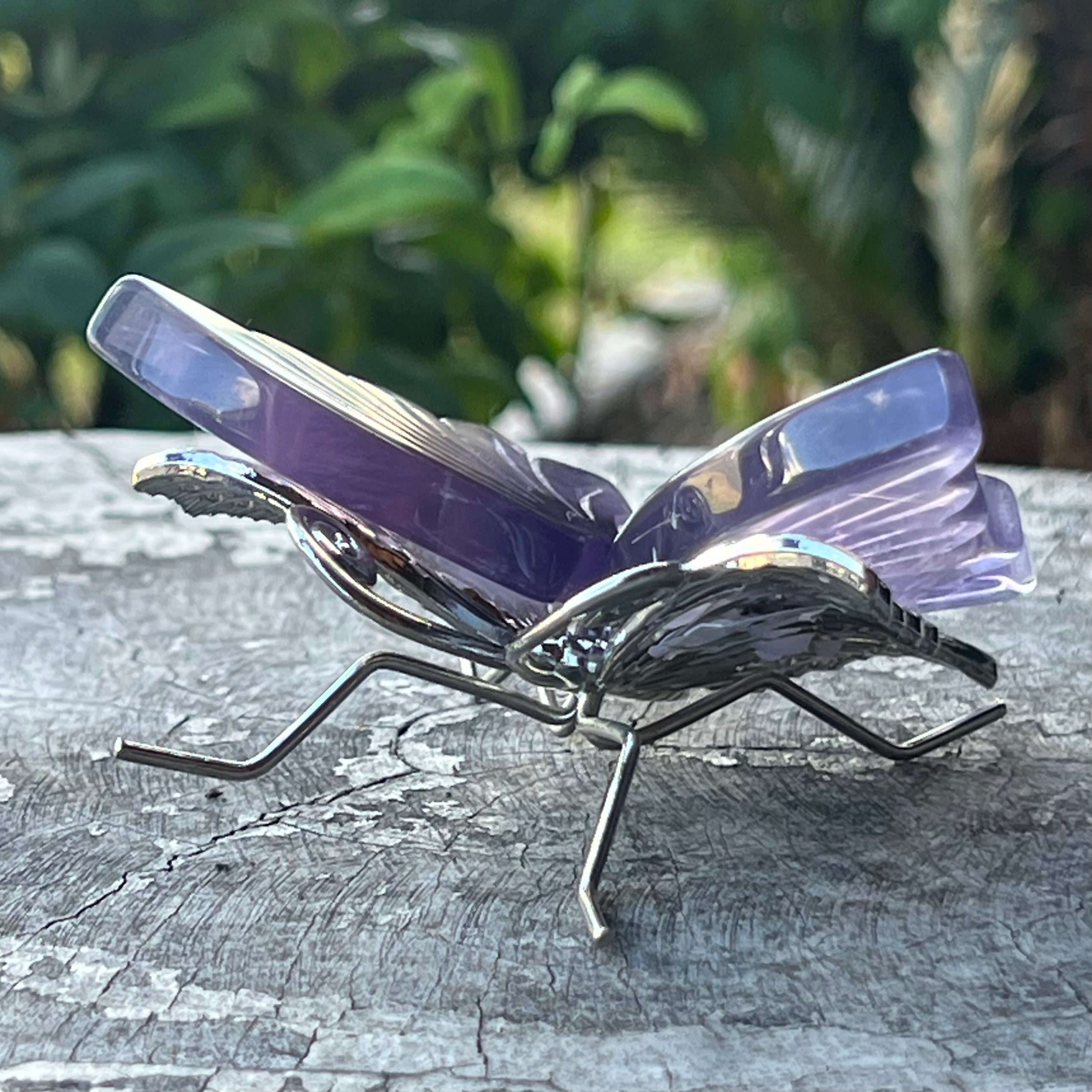 Purple Fluorite Butterfly