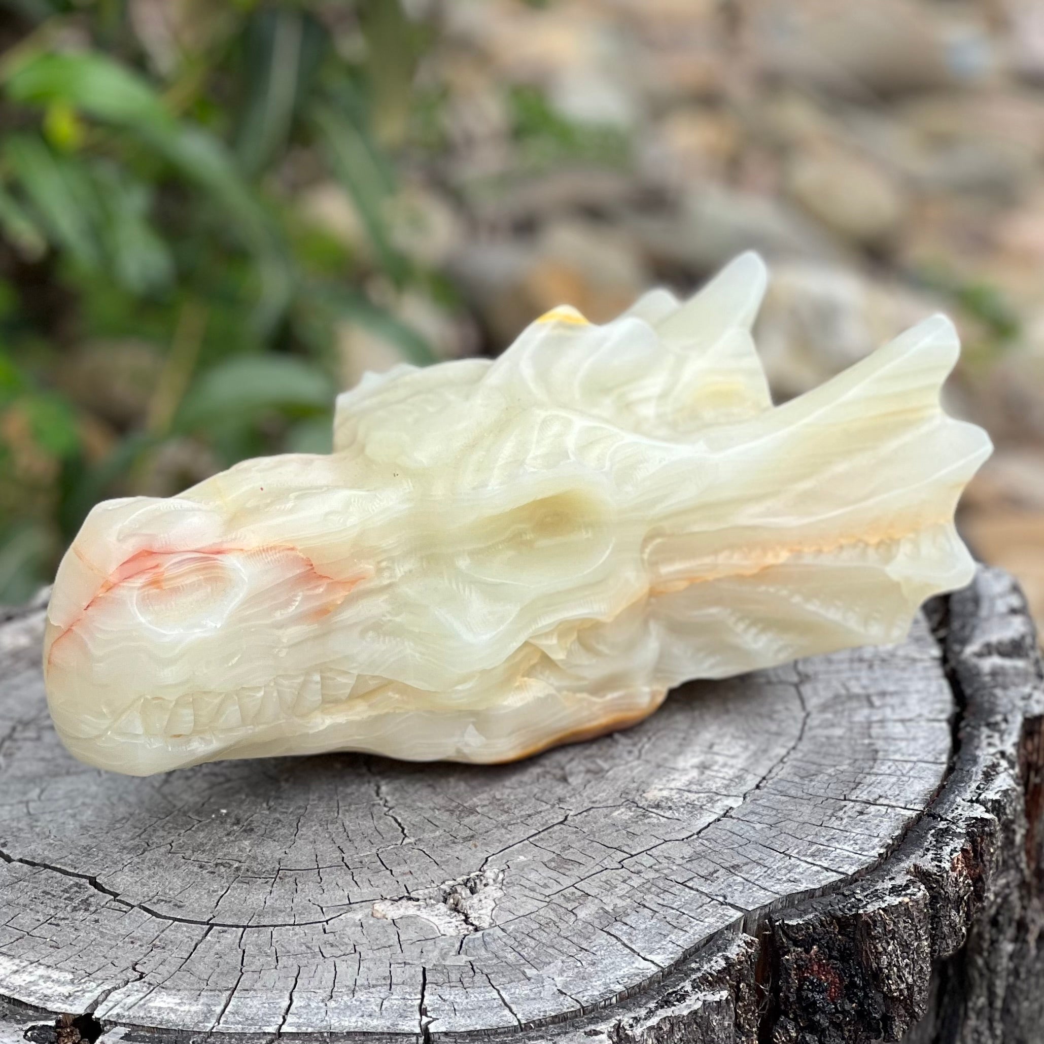 Afghanistan Jade Dragon Head Carving