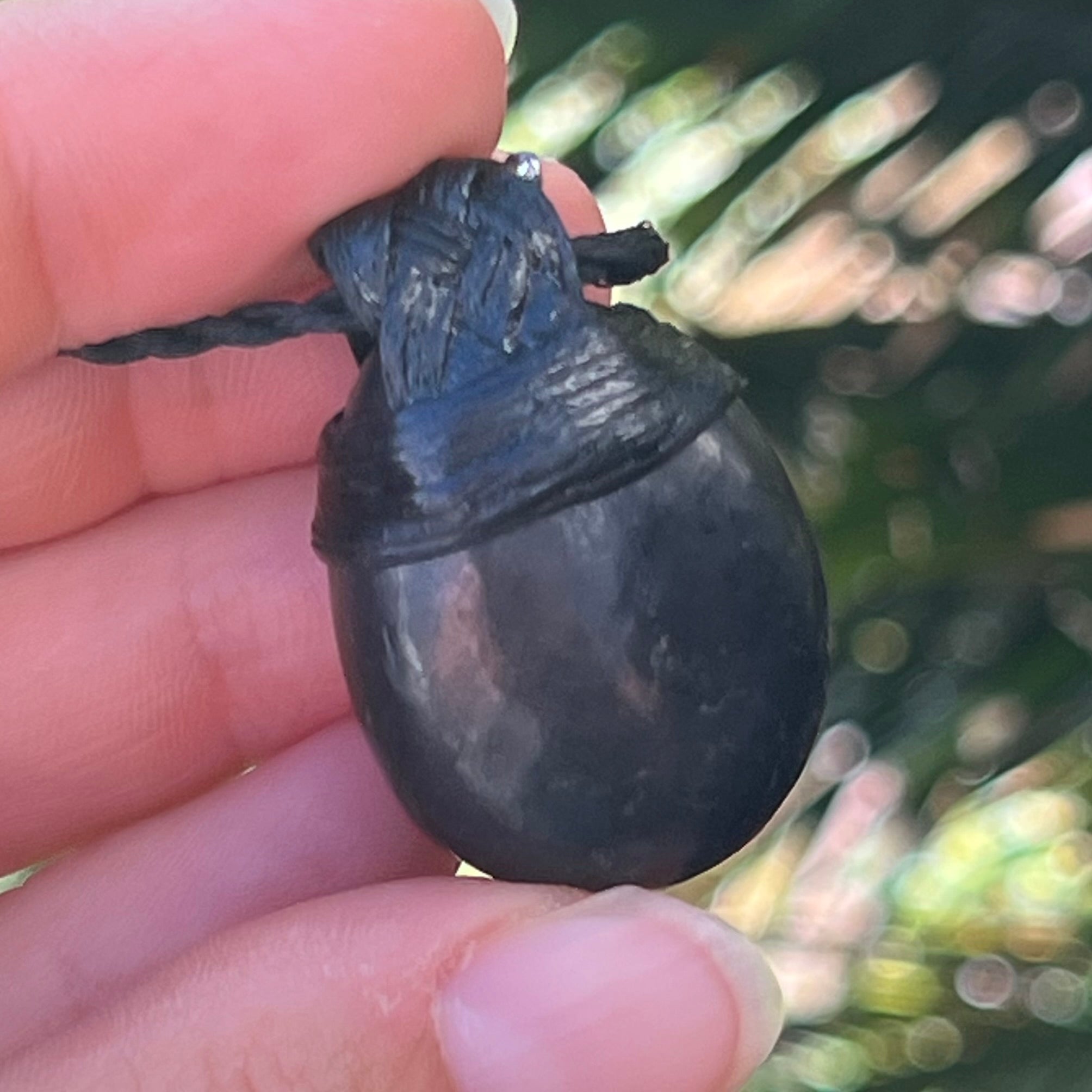 Muse Medicine ~ Protection - Shungite ~ Talisman