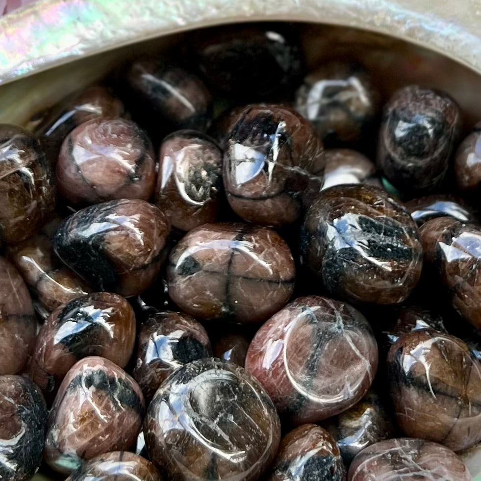 Chiastolite ~ Cross Stone ~ Extra Protection Tumble