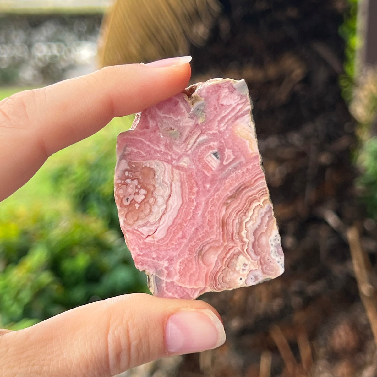 Rhodochrosite ~ Specialty Boxed Crystal (3)
