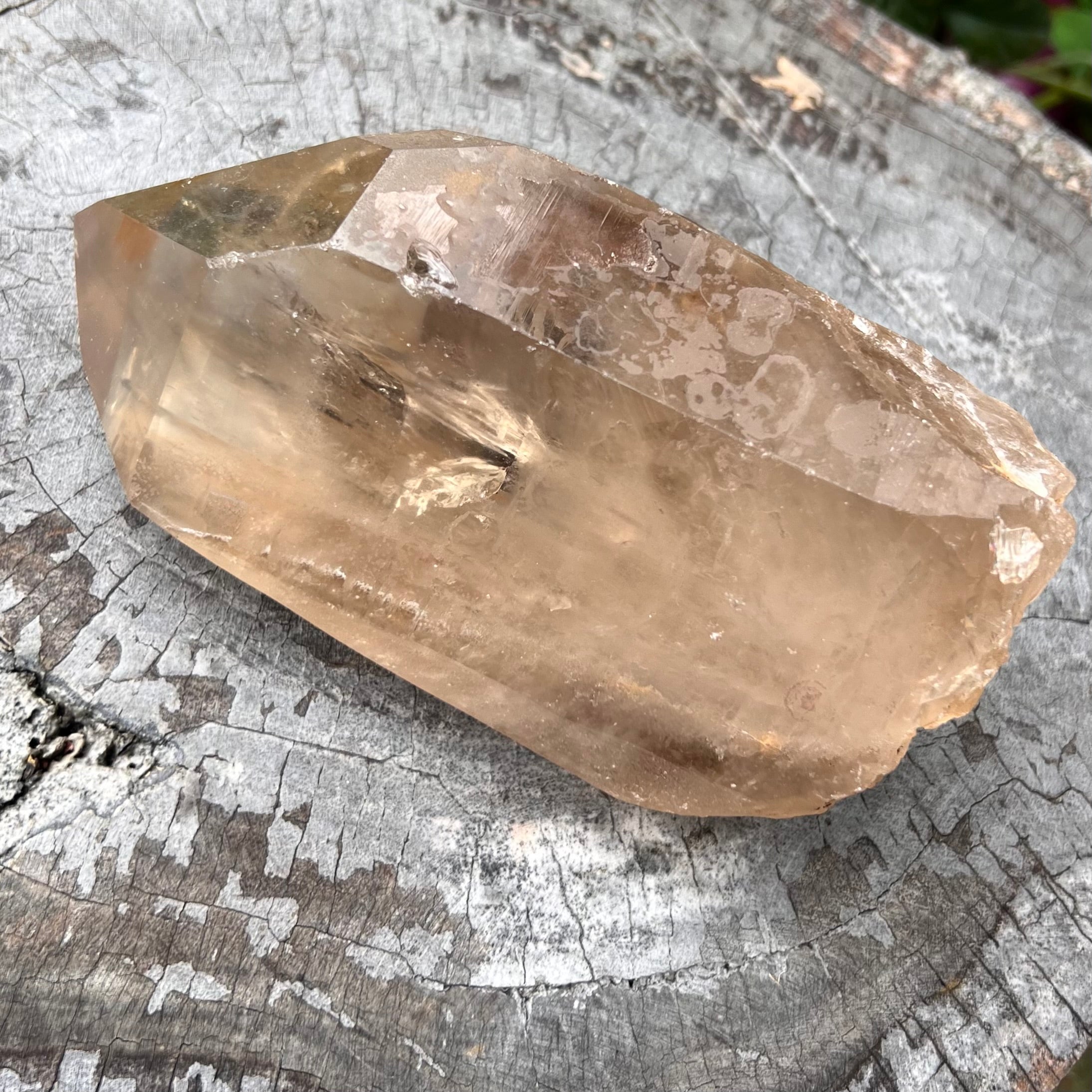 Sensational Citrine Semi Raw Point