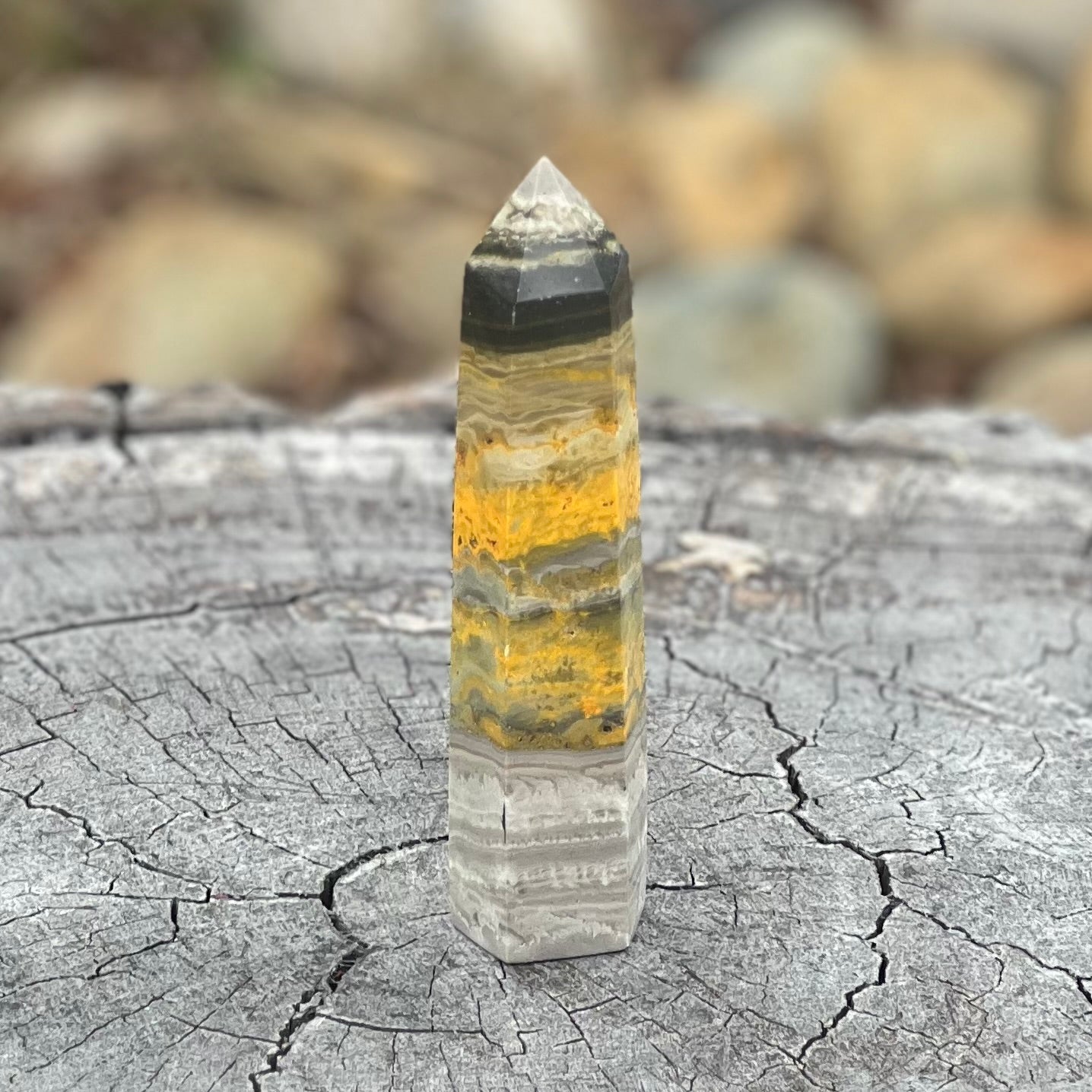 Bumble Bee Jasper Medium Generator Tower Point