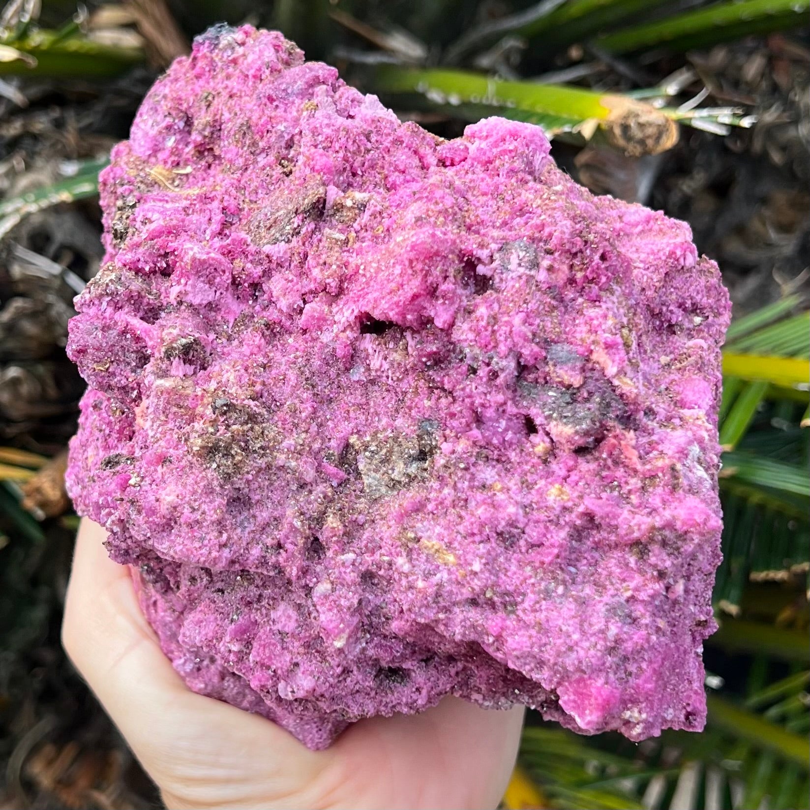 Glorious Ruby with Pyrite Specimen