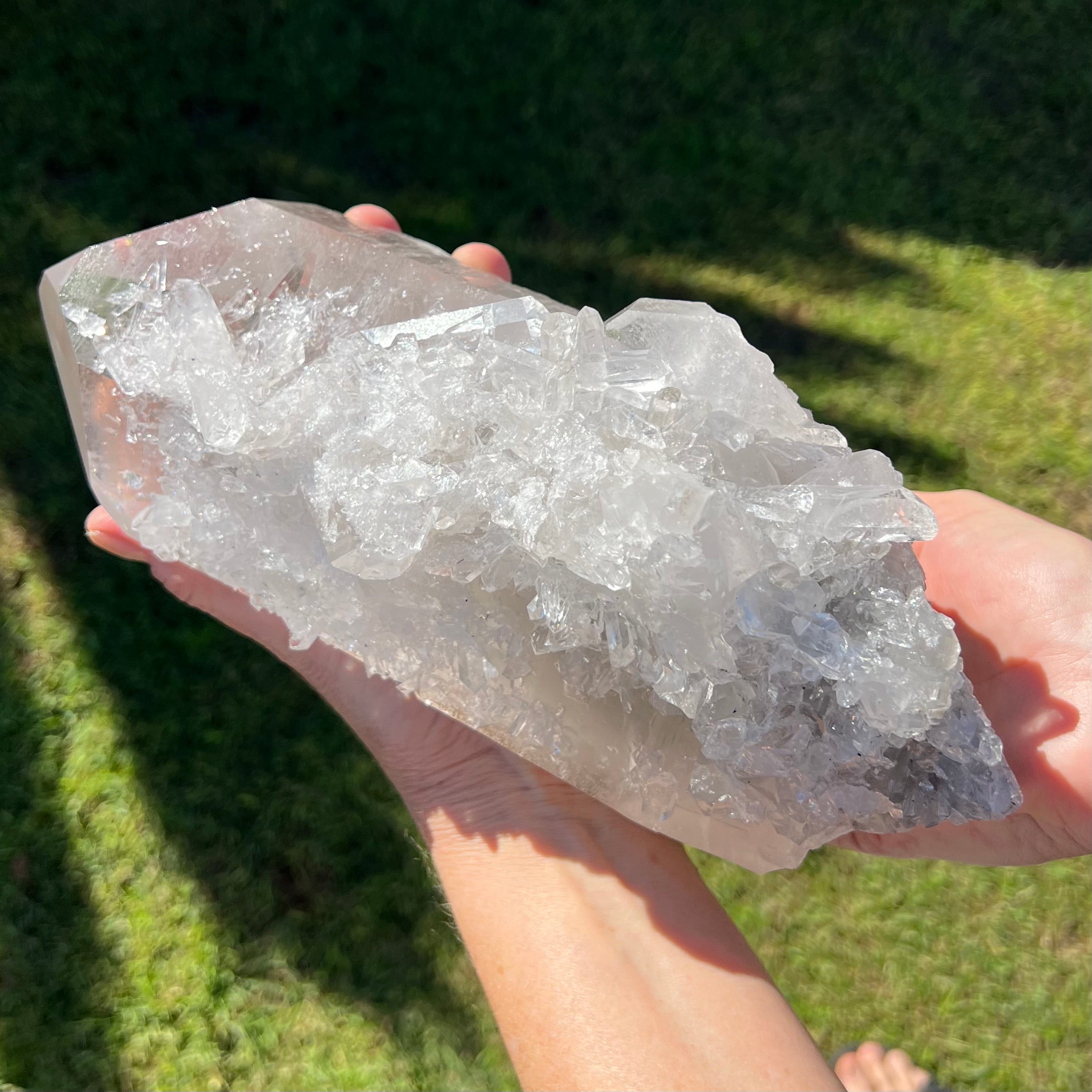 Barnacle Quartz Cluster
