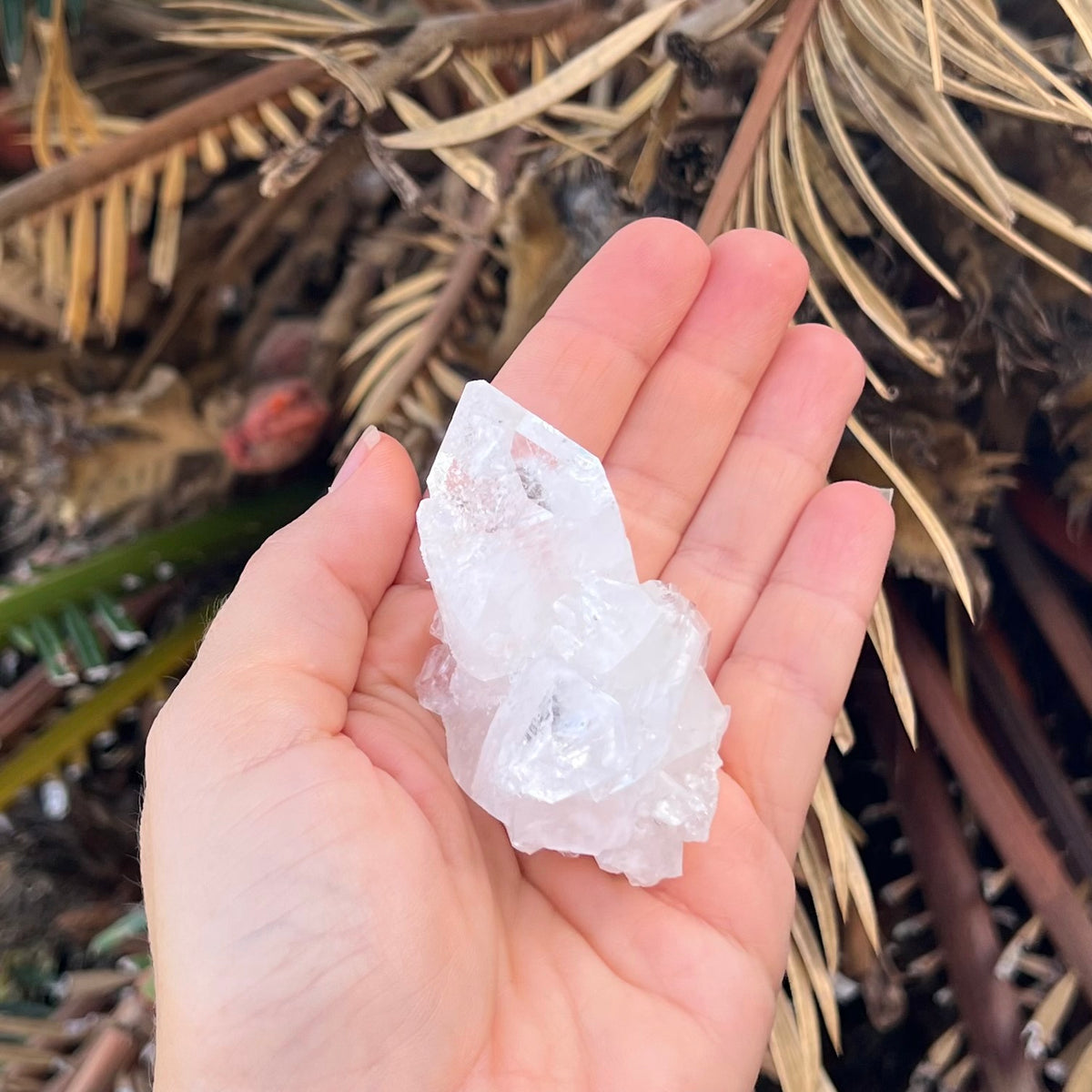 Appophylite Cluster ~ Specialty Boxed Crystal