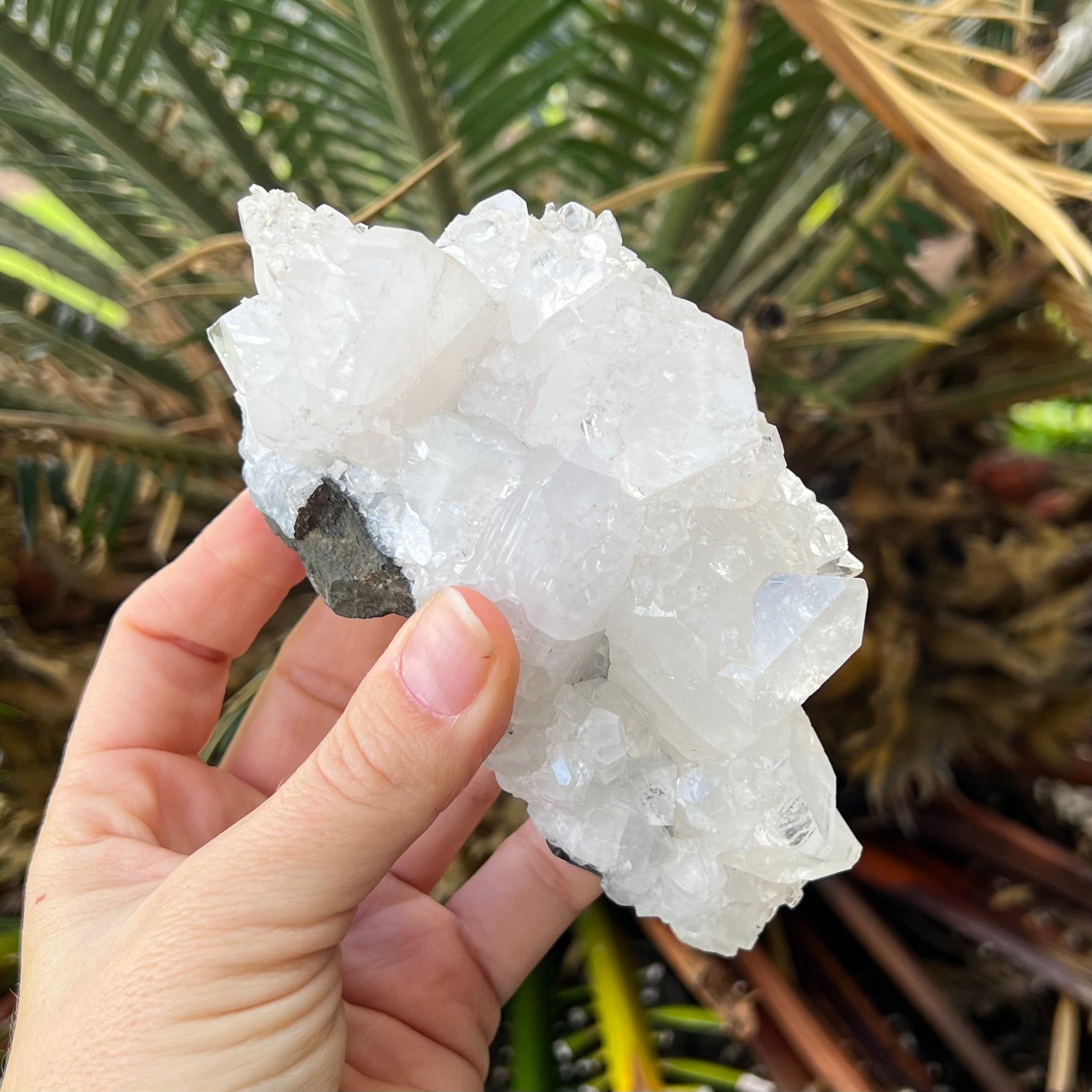 Apophylite Cluster