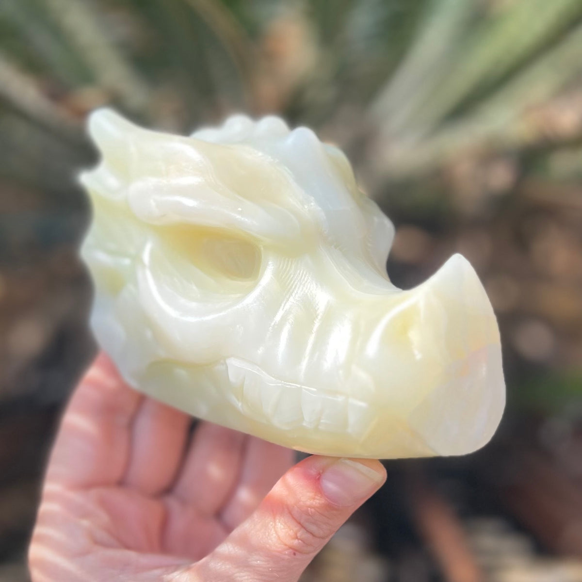 Afghanistan Jade ~ Dragon Head