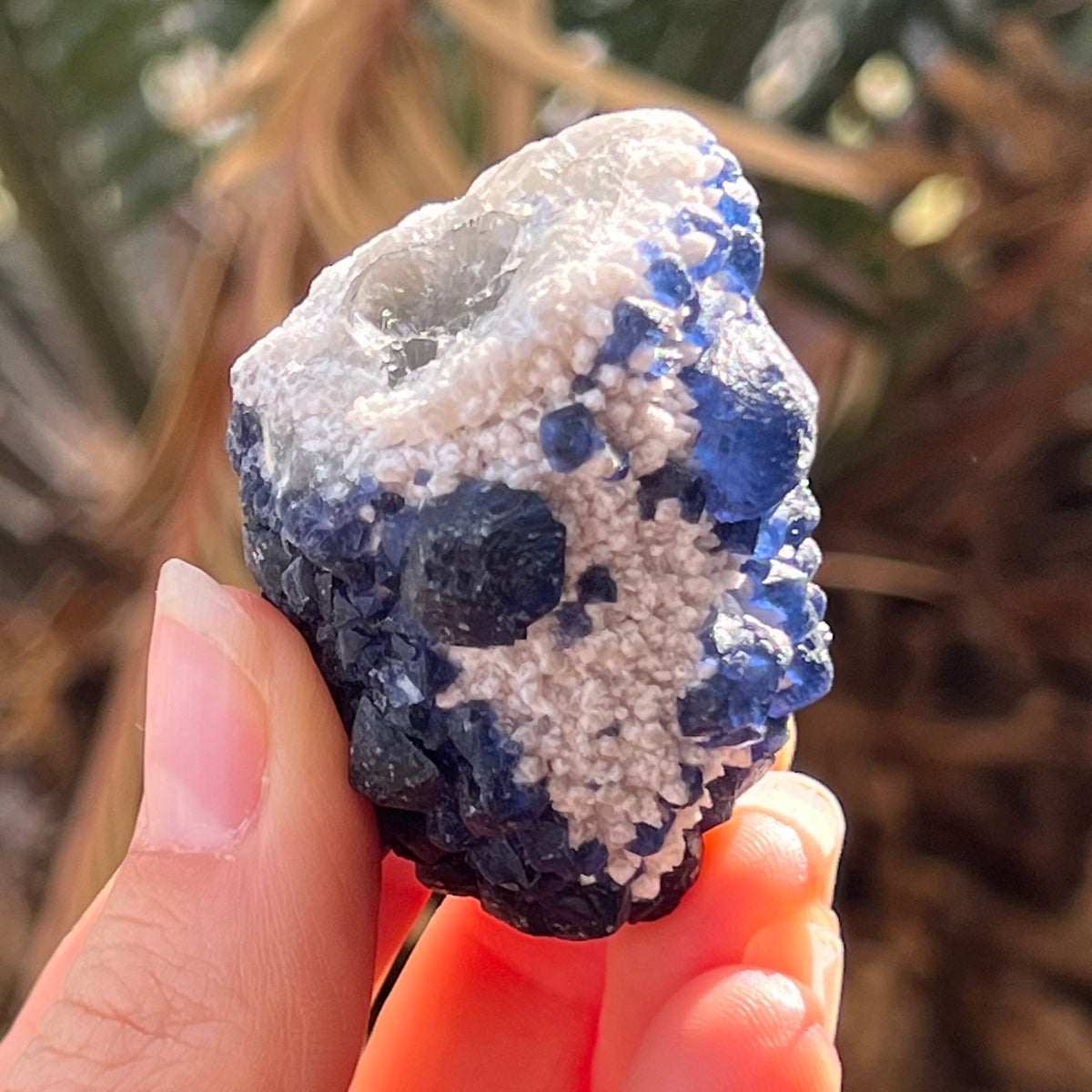 Raw Blue Fluorite ~ Specialty Boxed Crystal