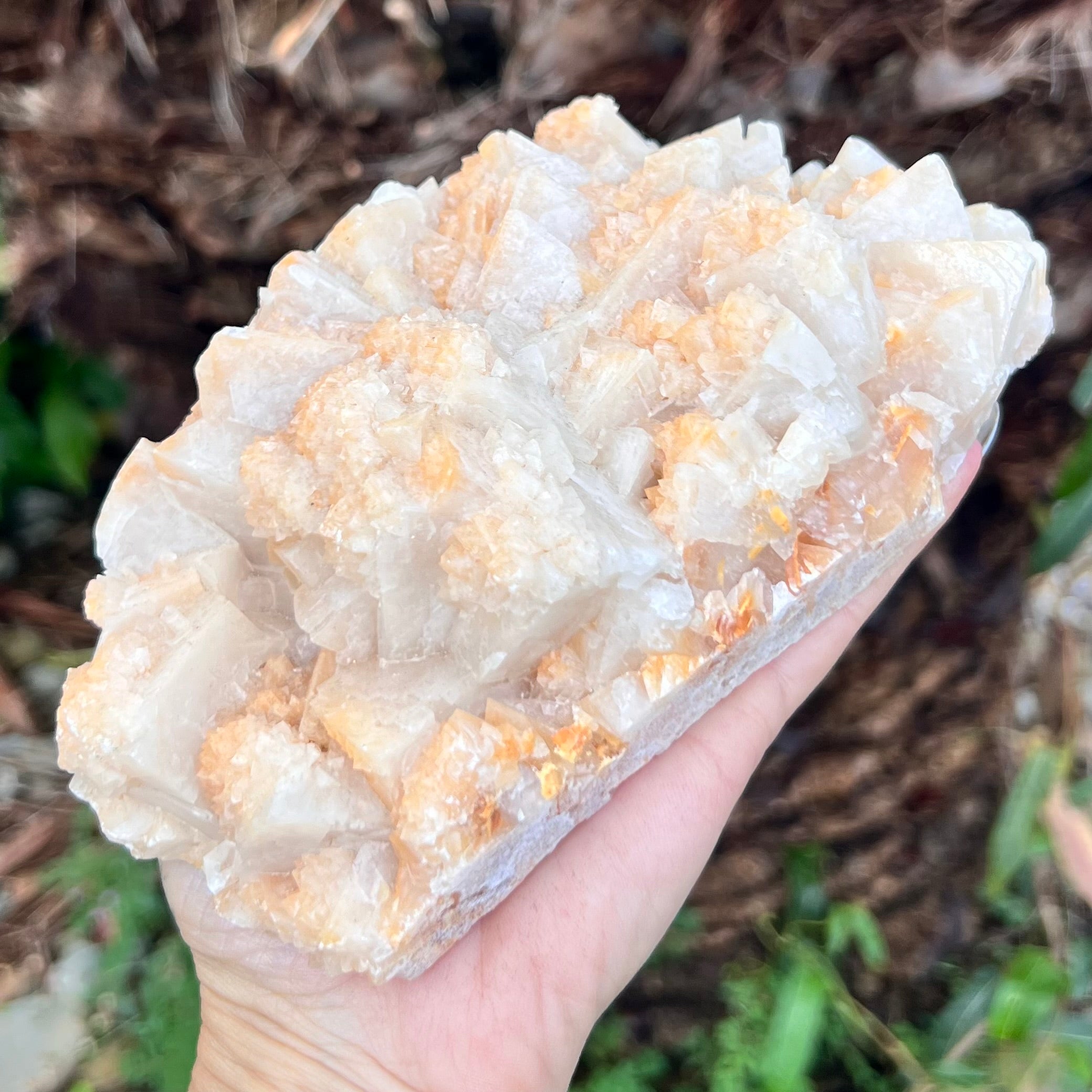 Natural Raw Magical Yellow Calcite