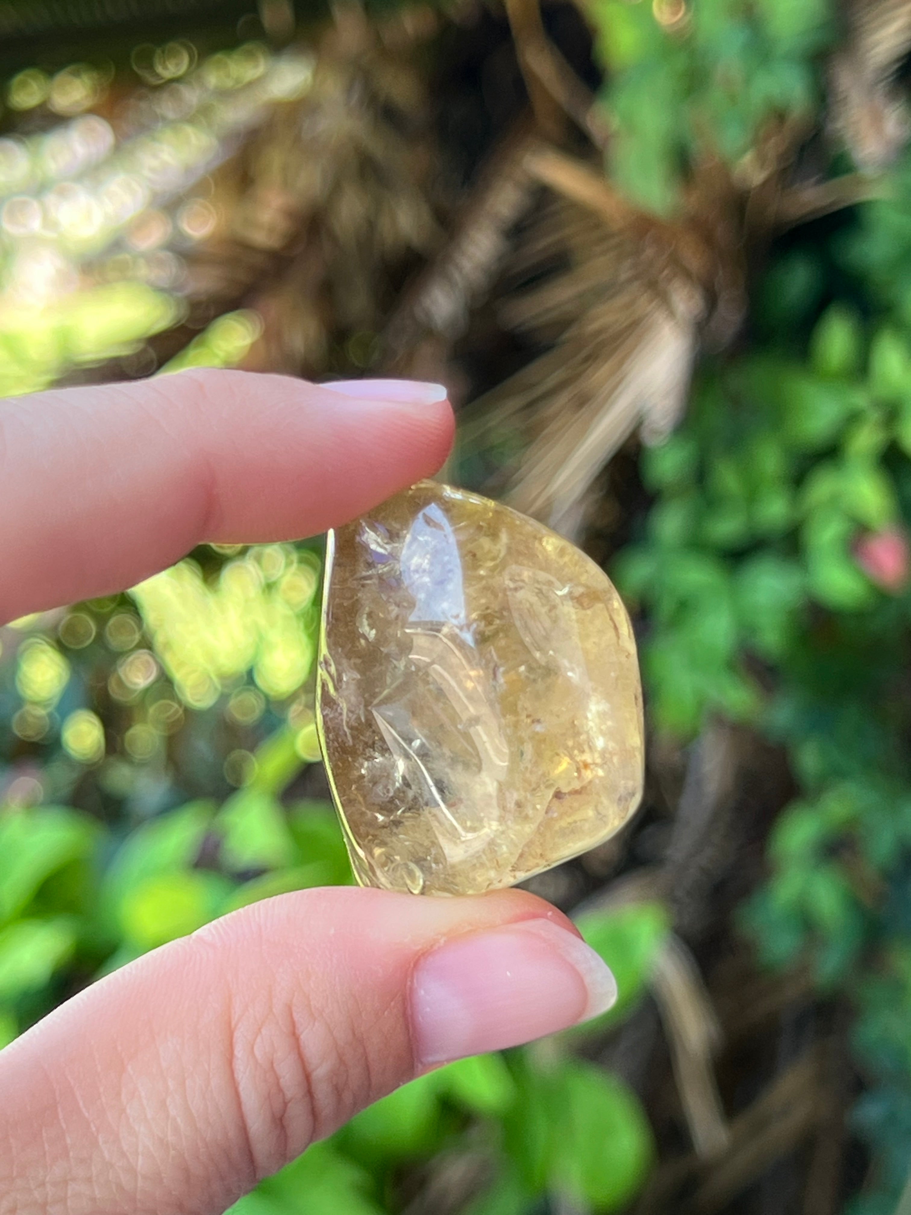 Natural Citrine ~ Specialty Boxed Crystal