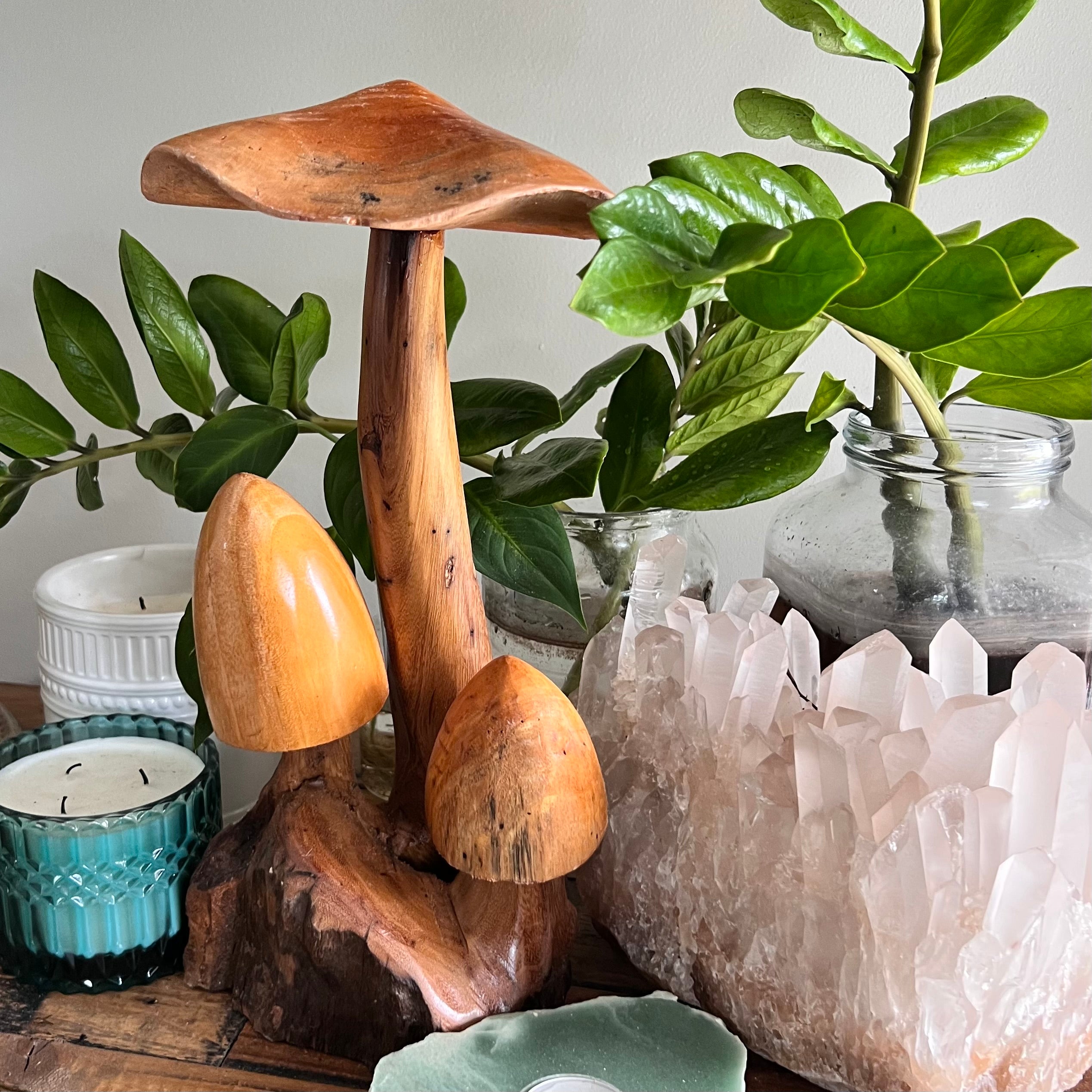 Mushroom Trio ~ Wood Carving