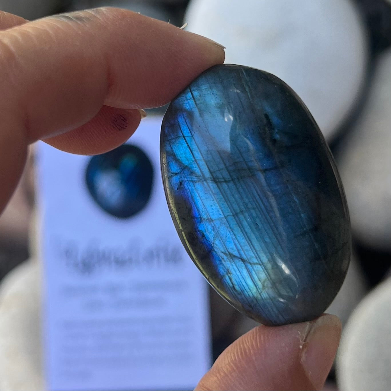 Labradorite ~ Specialty Boxed Crystal ~ 2
