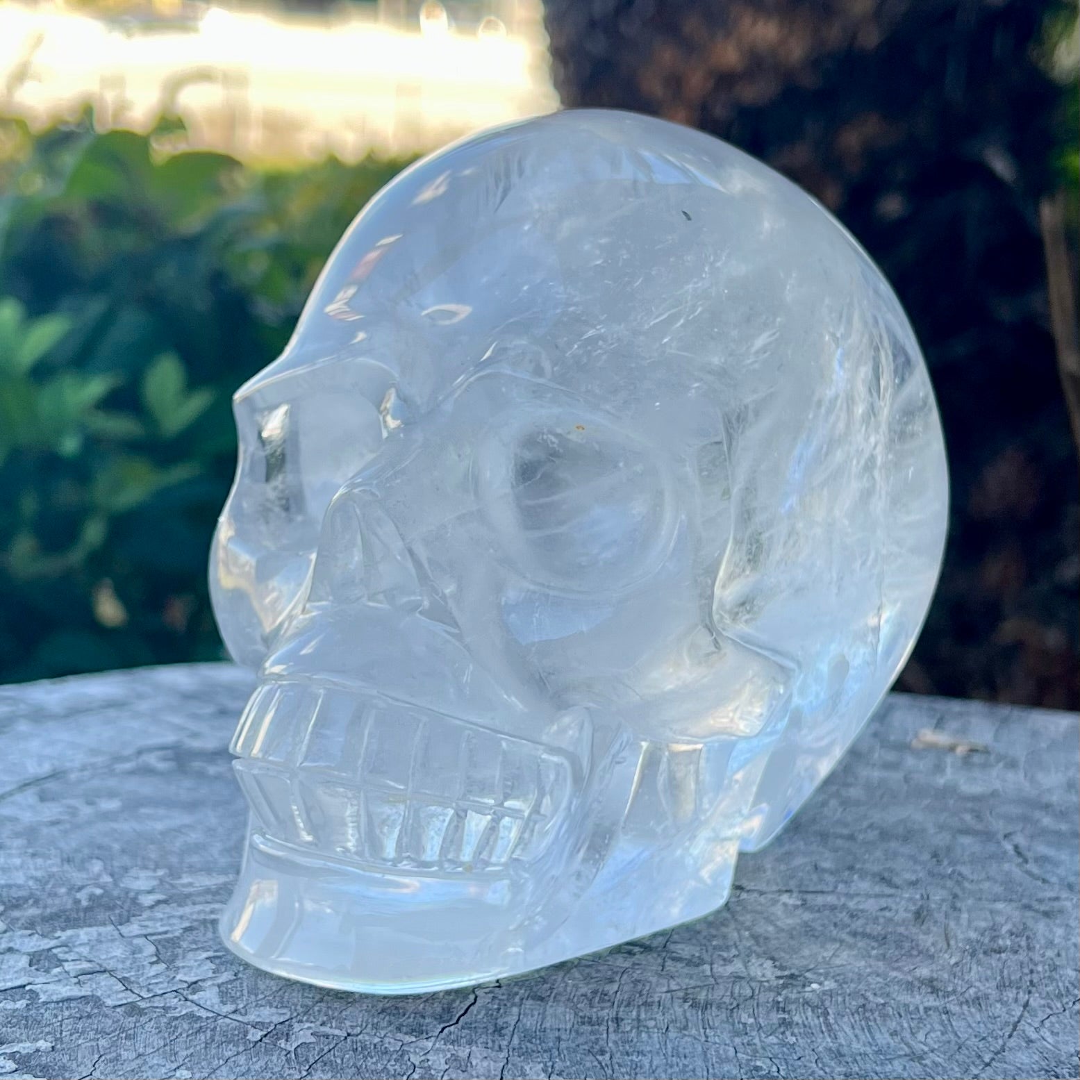 Clear Quartz Skull Carving