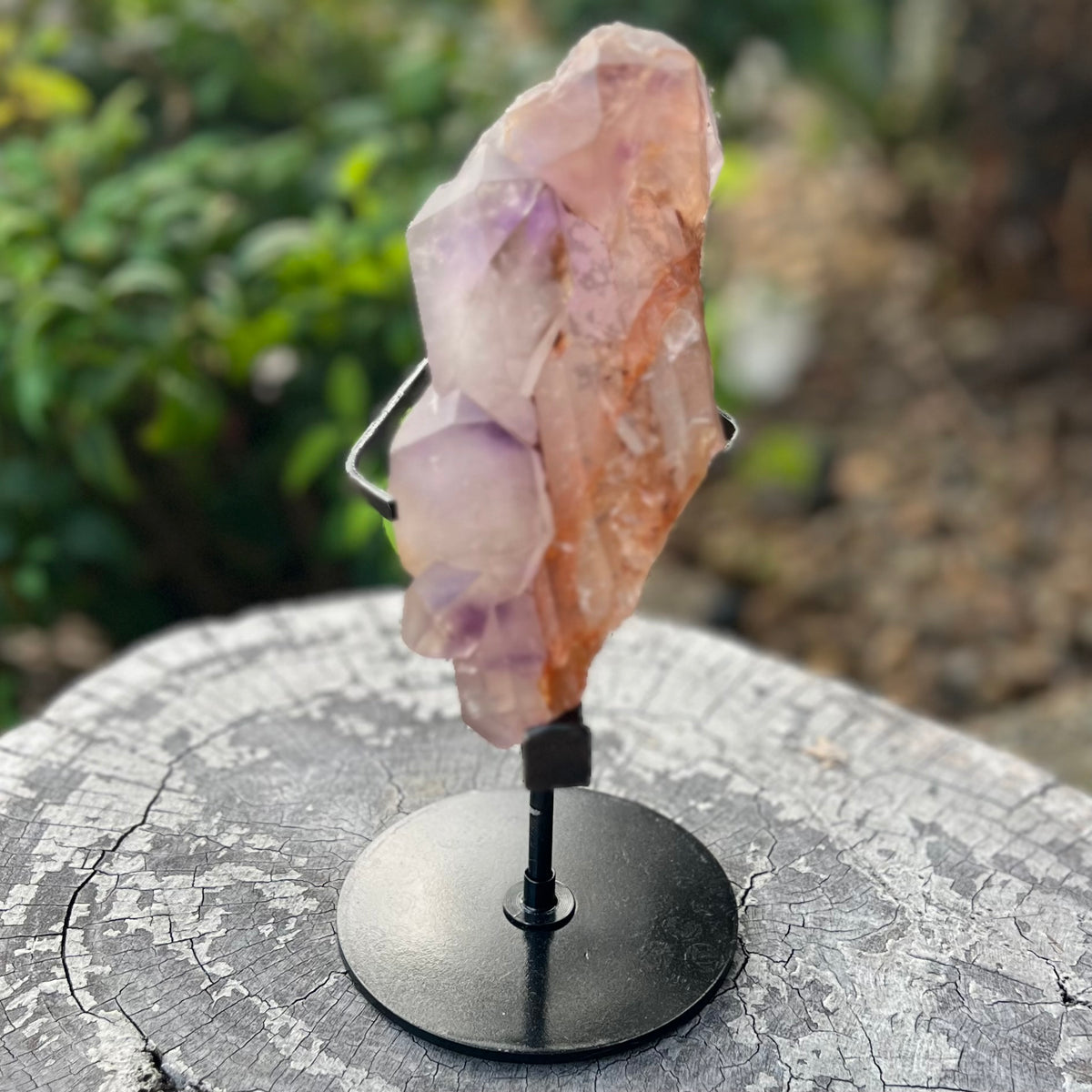 Amethyst Cluster on Stand