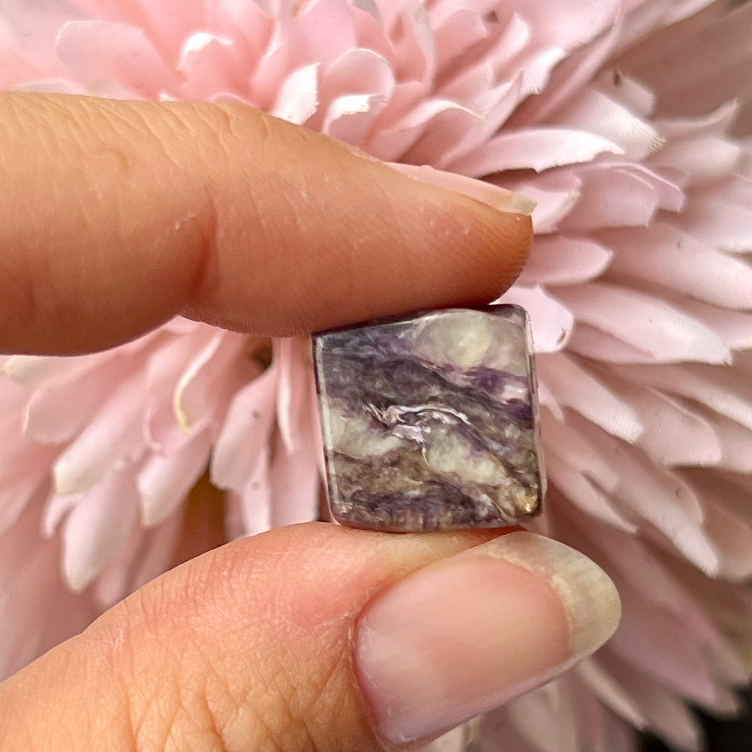 Chariote ~ Specialty Boxed Crystal