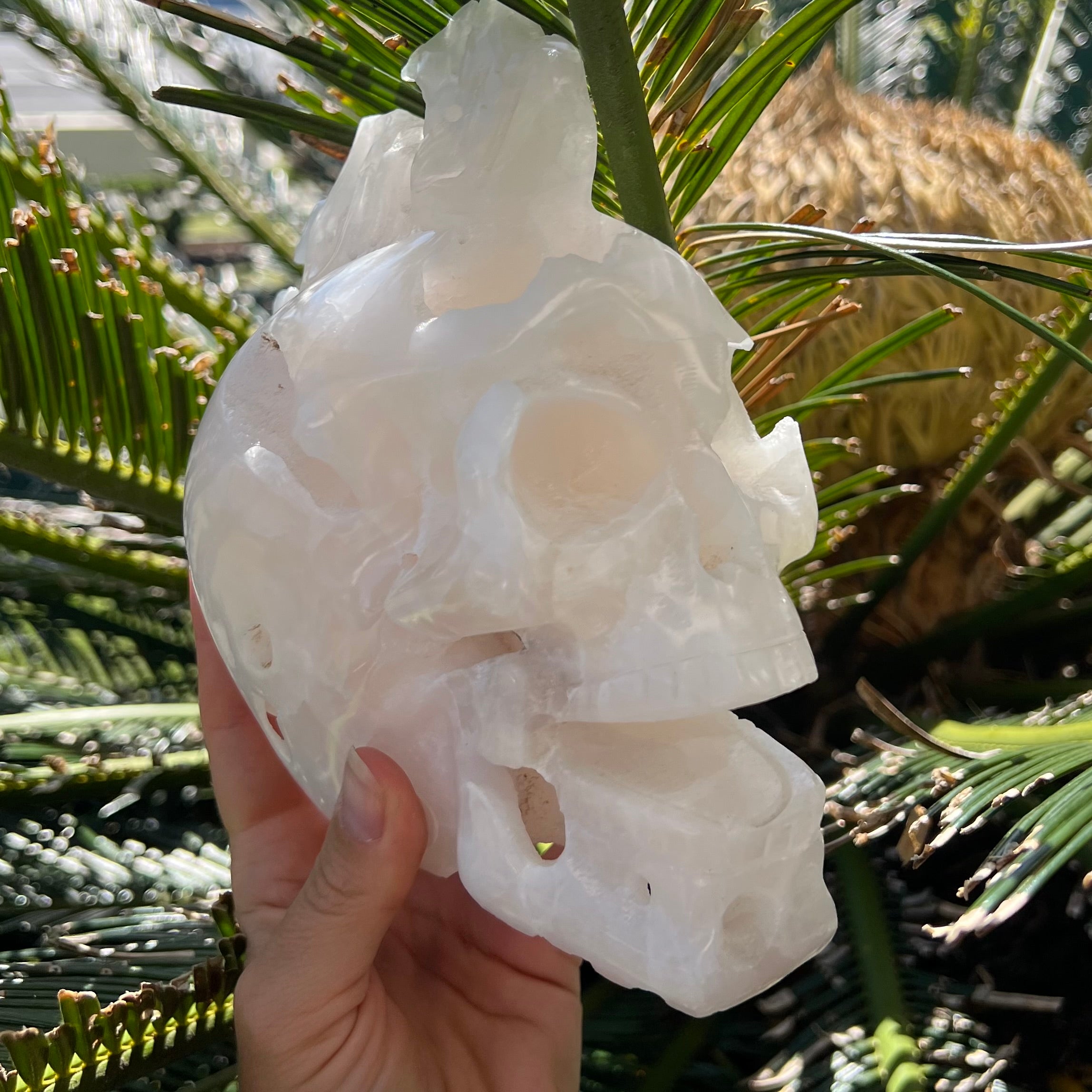 Large Crystal Skull Carving