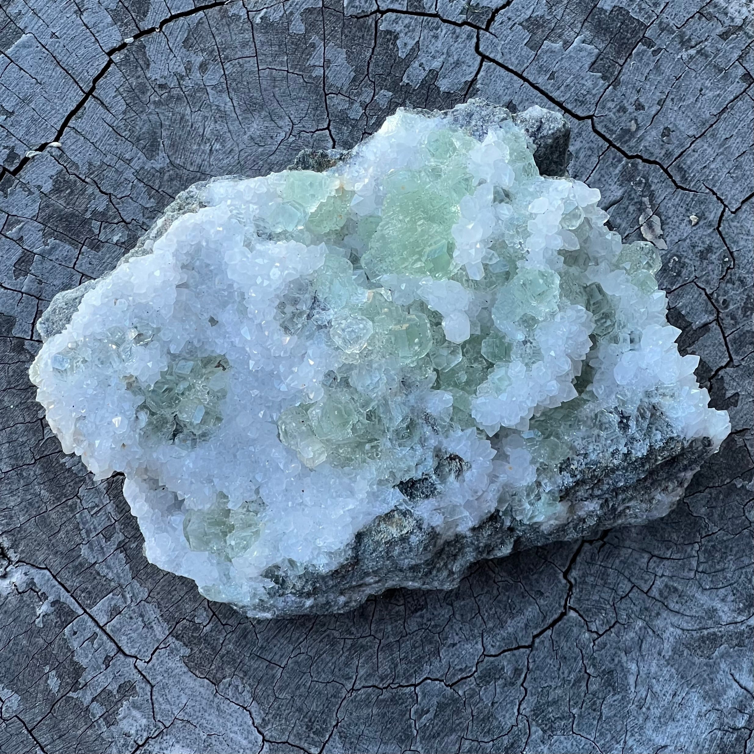 Apophylite Cluster