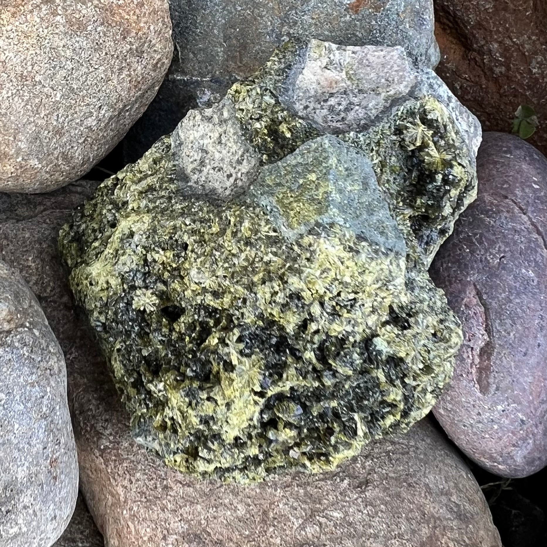 Epidote on Natural Matrix ~ Specialty Crystal