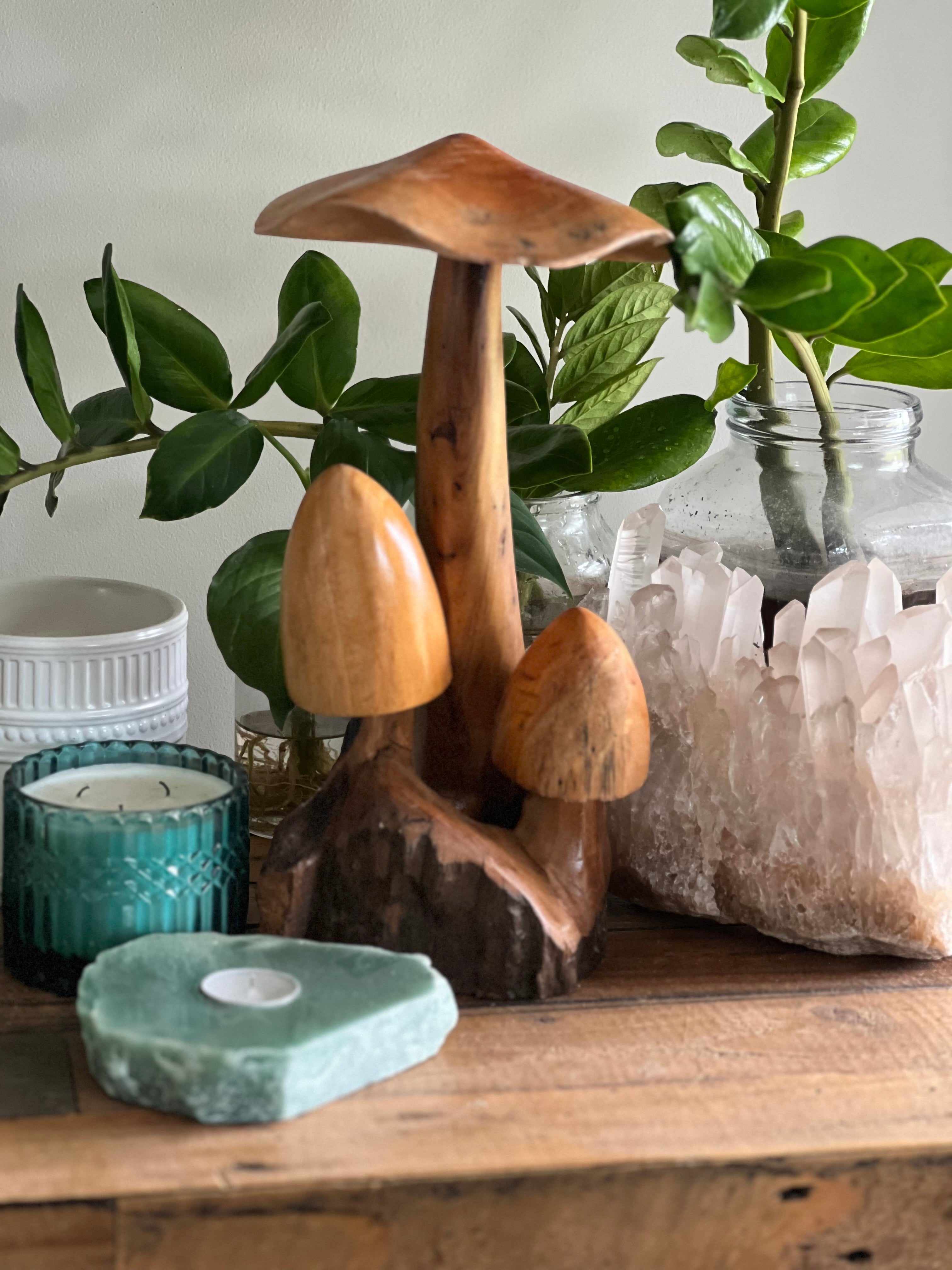 Mushroom Trio ~ Wood Carving