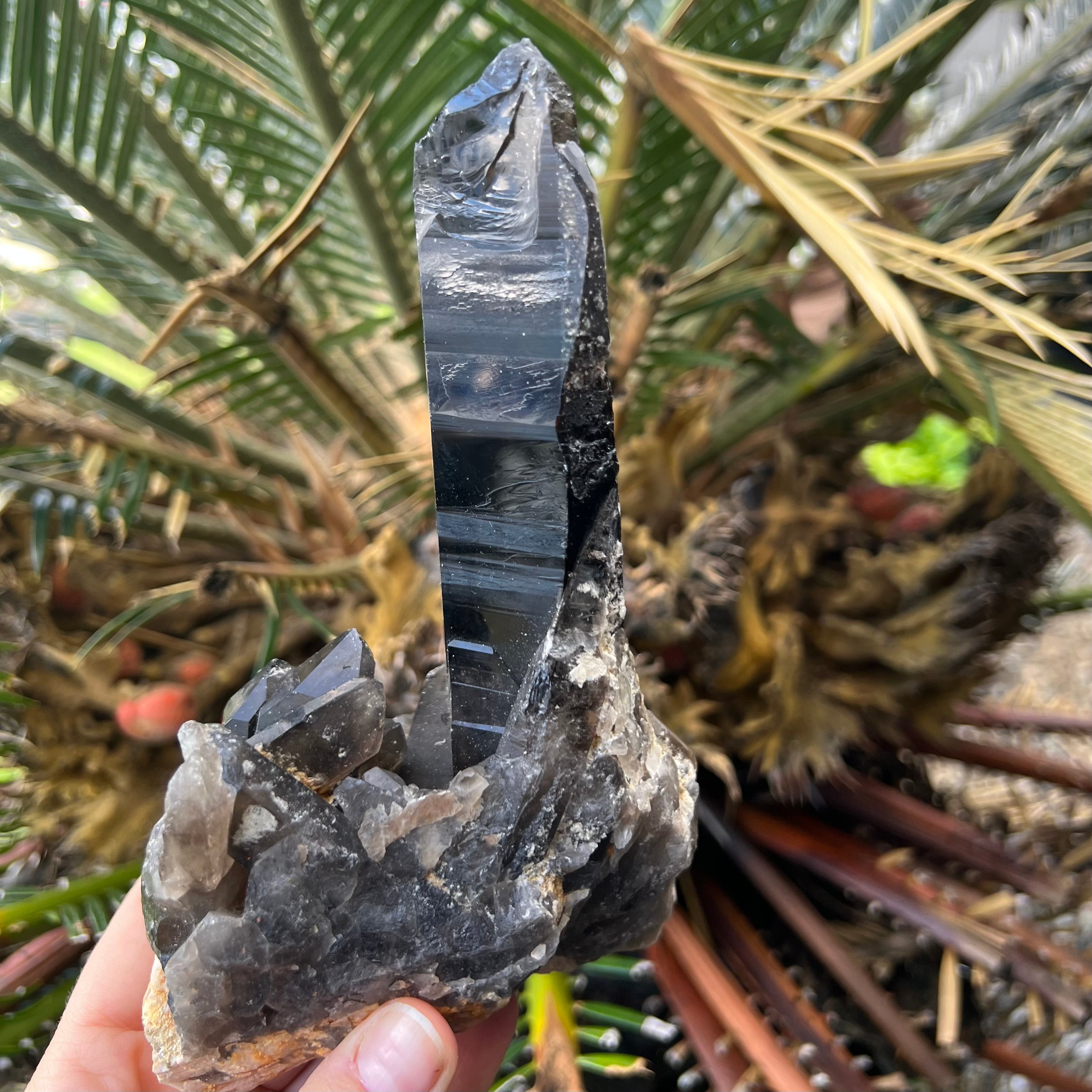 Natural Smoky Lemurian Quartz Cluster