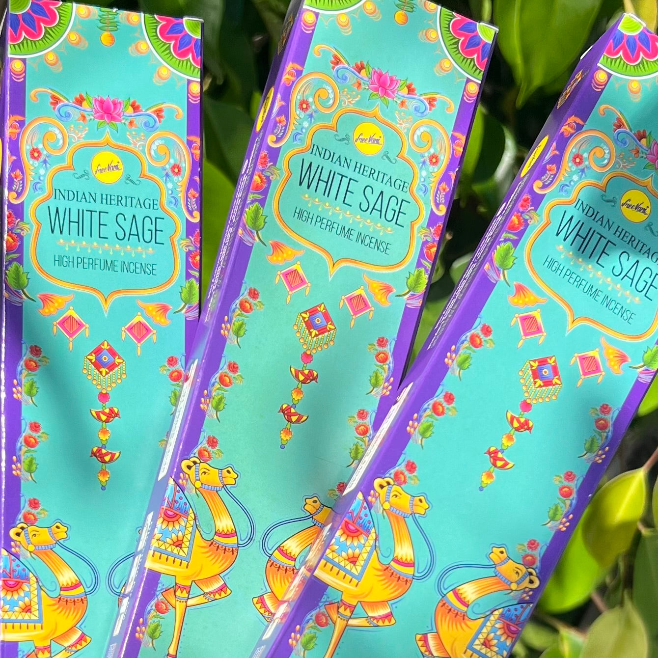 White Sage ~ Cleansing Incense