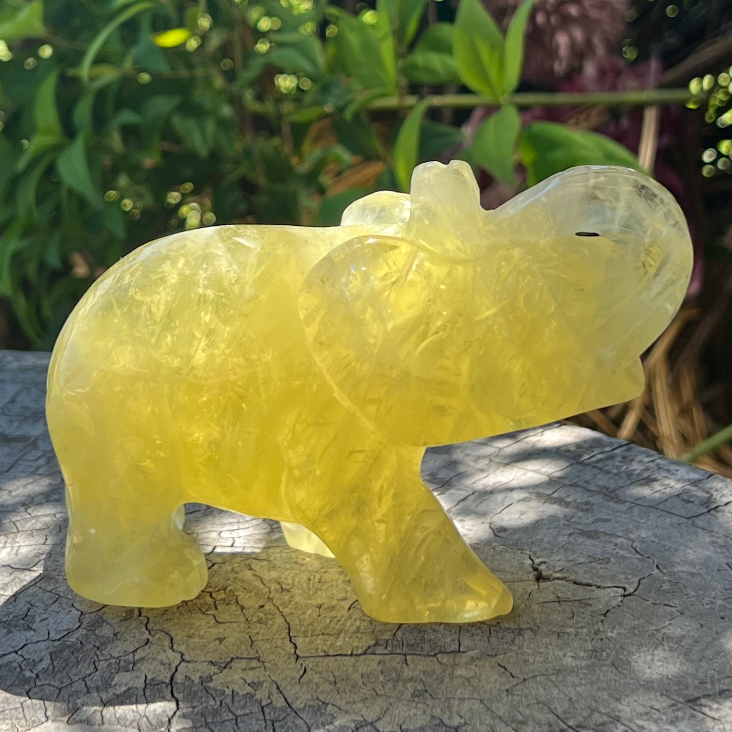 Lucky Elephant ~ Citrine