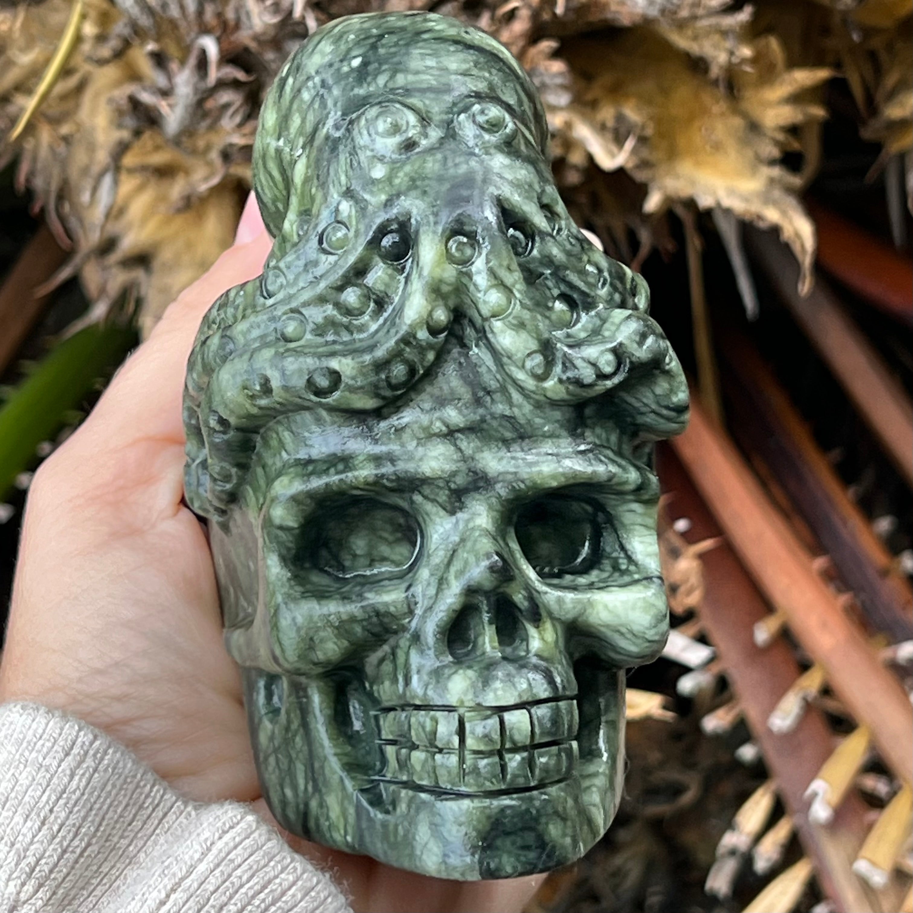 Kambaba Jasper Octopus Skull Carving