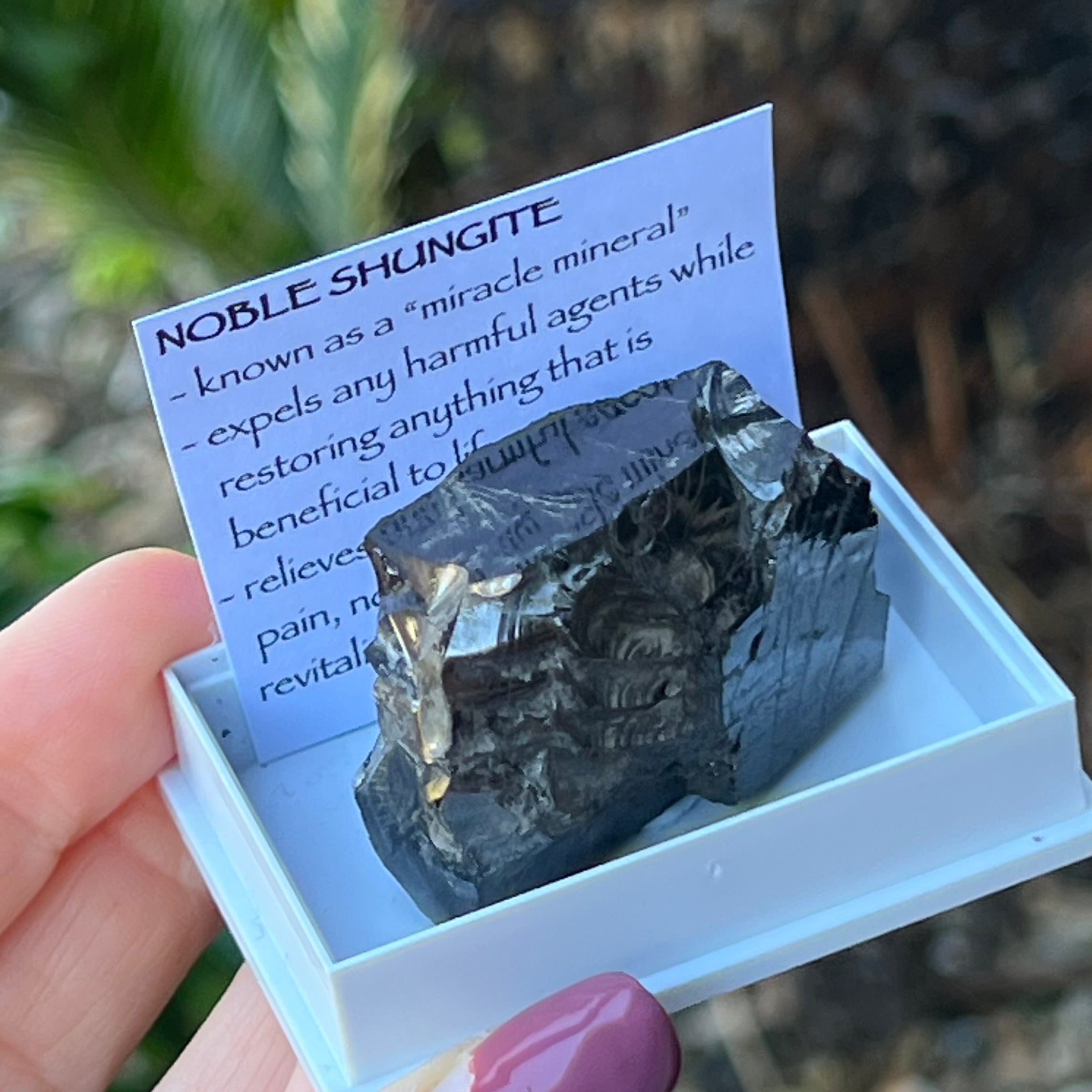 Noble Shungite ~ Specialty Boxed Crystal